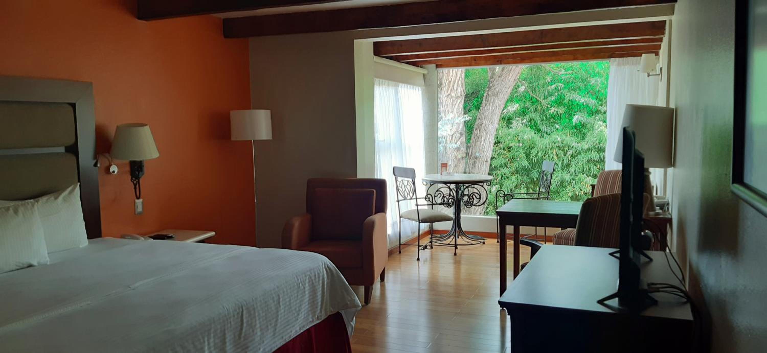 Deluxe King Suite