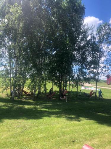 Family Room with Lake View - Photo 19