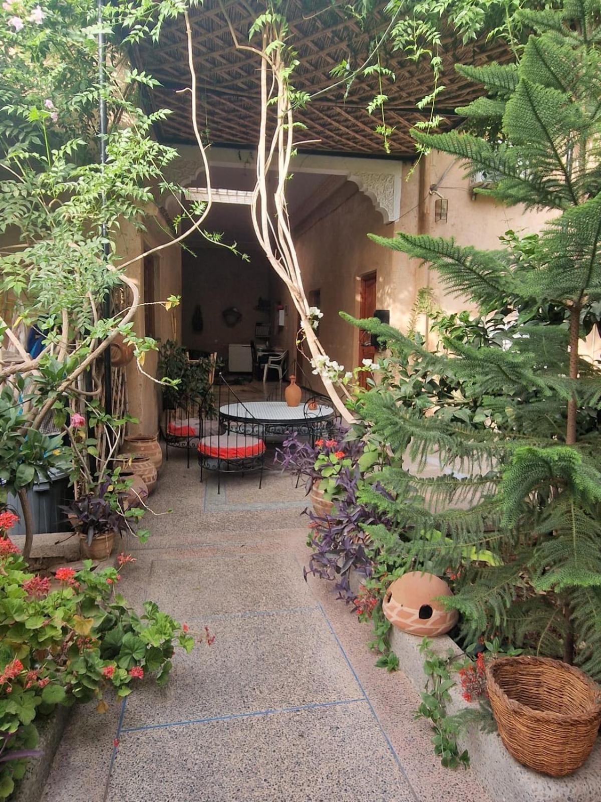 Triple Room with palm grove View - Photo 5