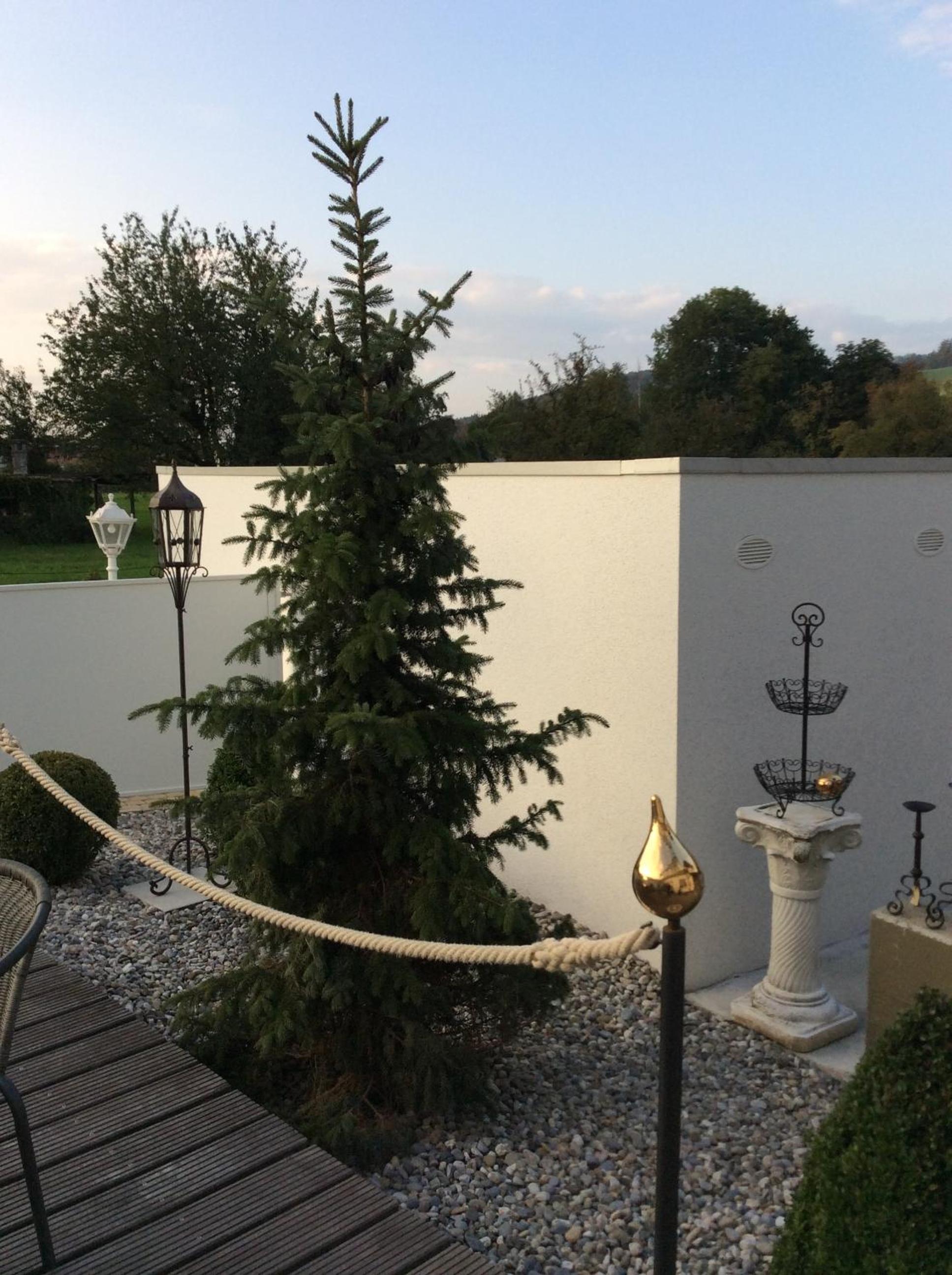 Double Room with Garden View photo 3