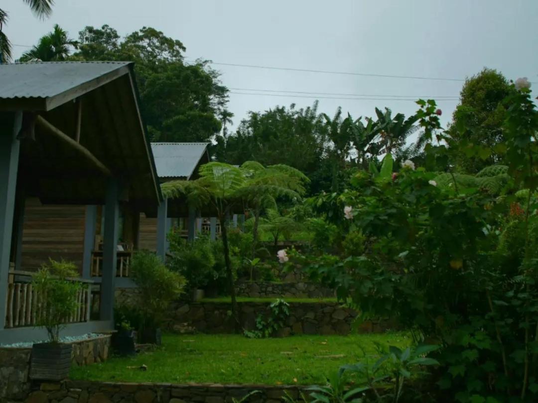Deluxe Bungalow with Garden View photo 3