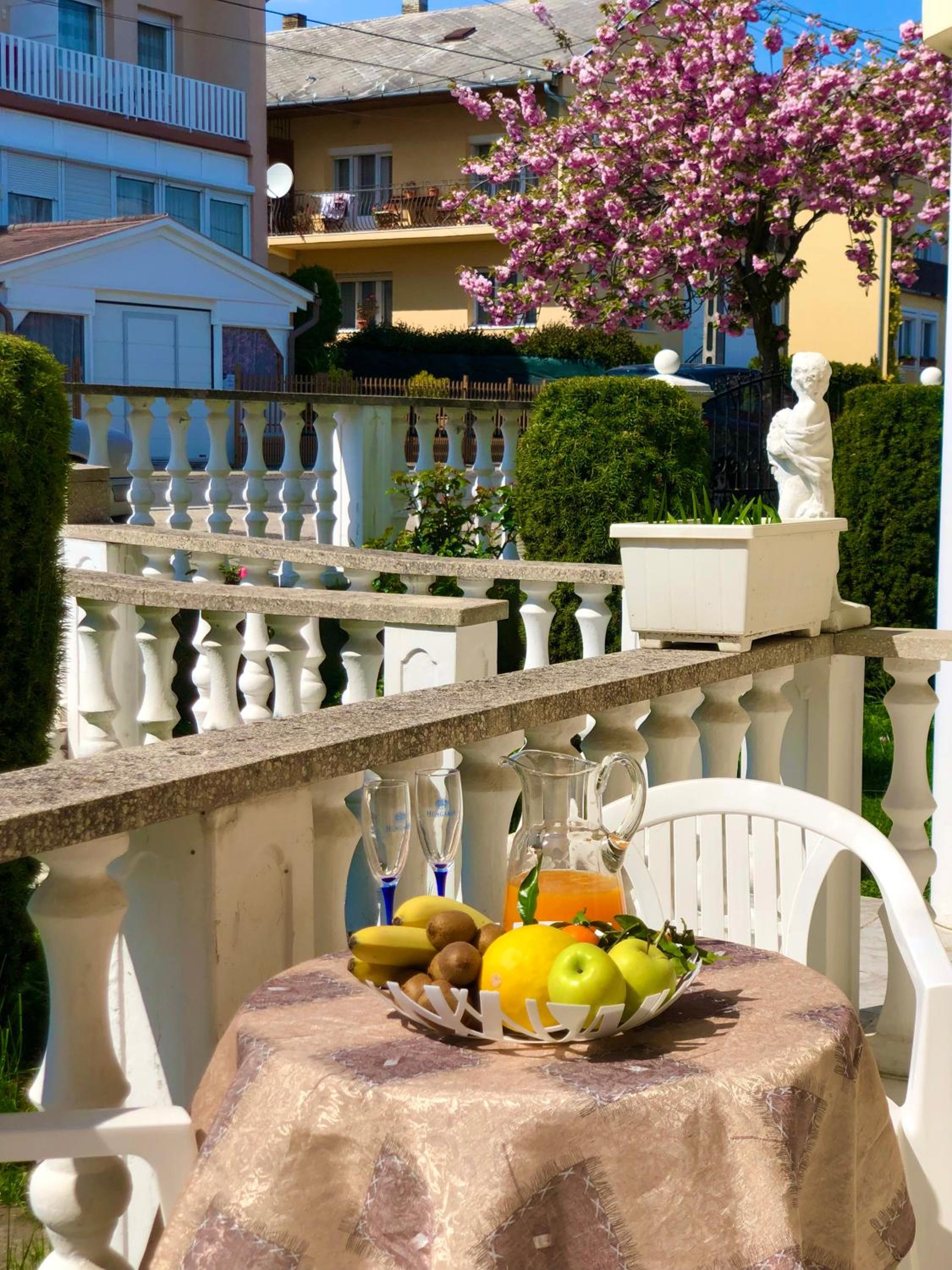 Apartment with Terrace photo 2