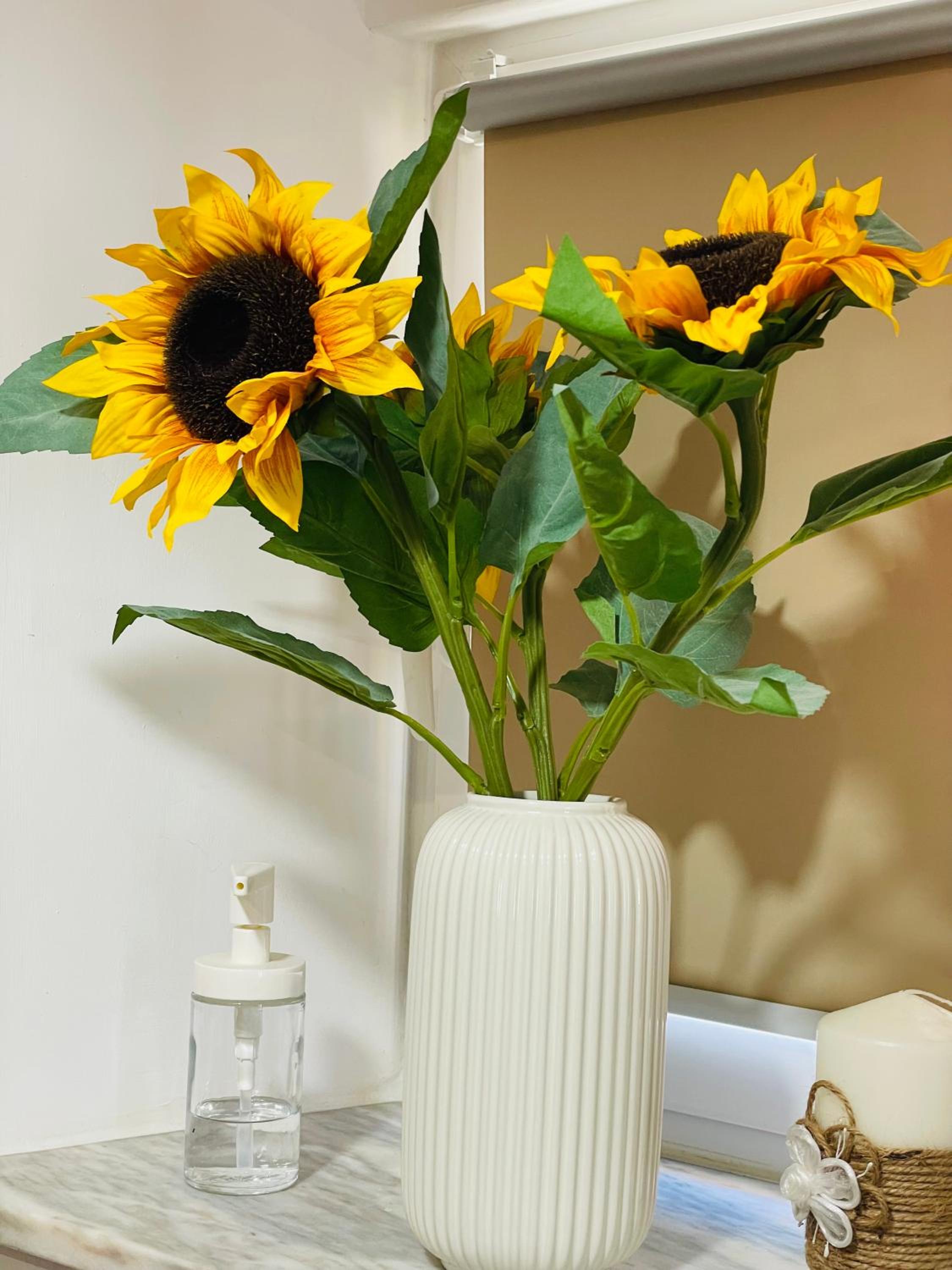 Standard Studio - Photo 13