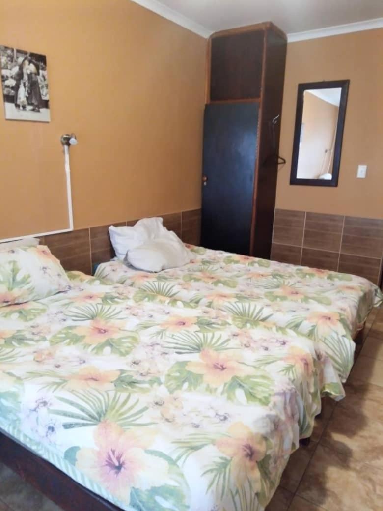 Single Bed in Mixed Dormitory Room photo 1