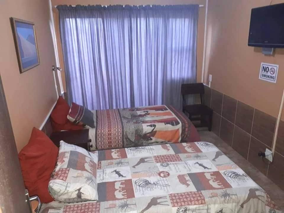 Single Bed in Mixed Dormitory Room photo 1
