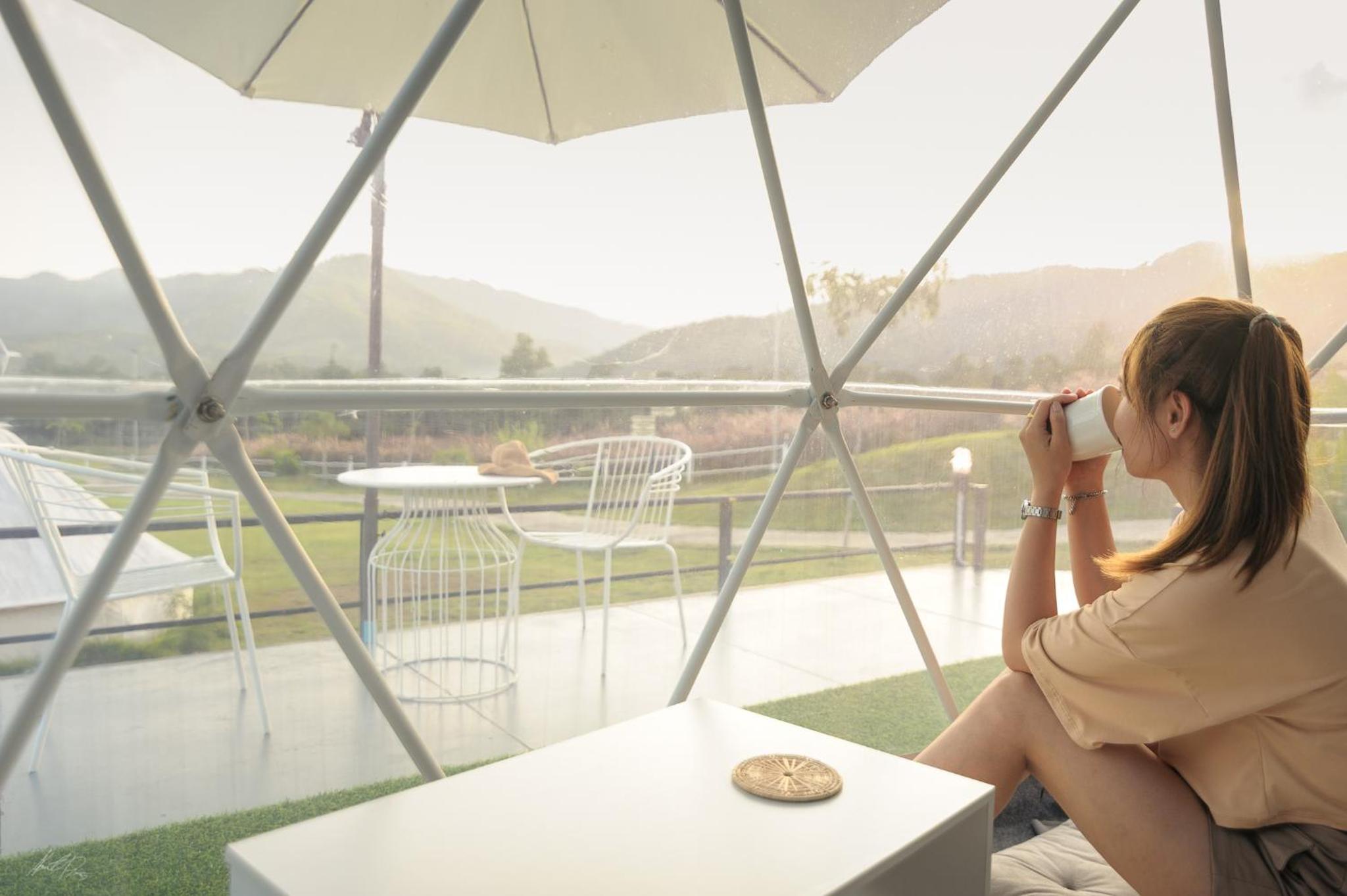 Deluxe Dome - Photo 6