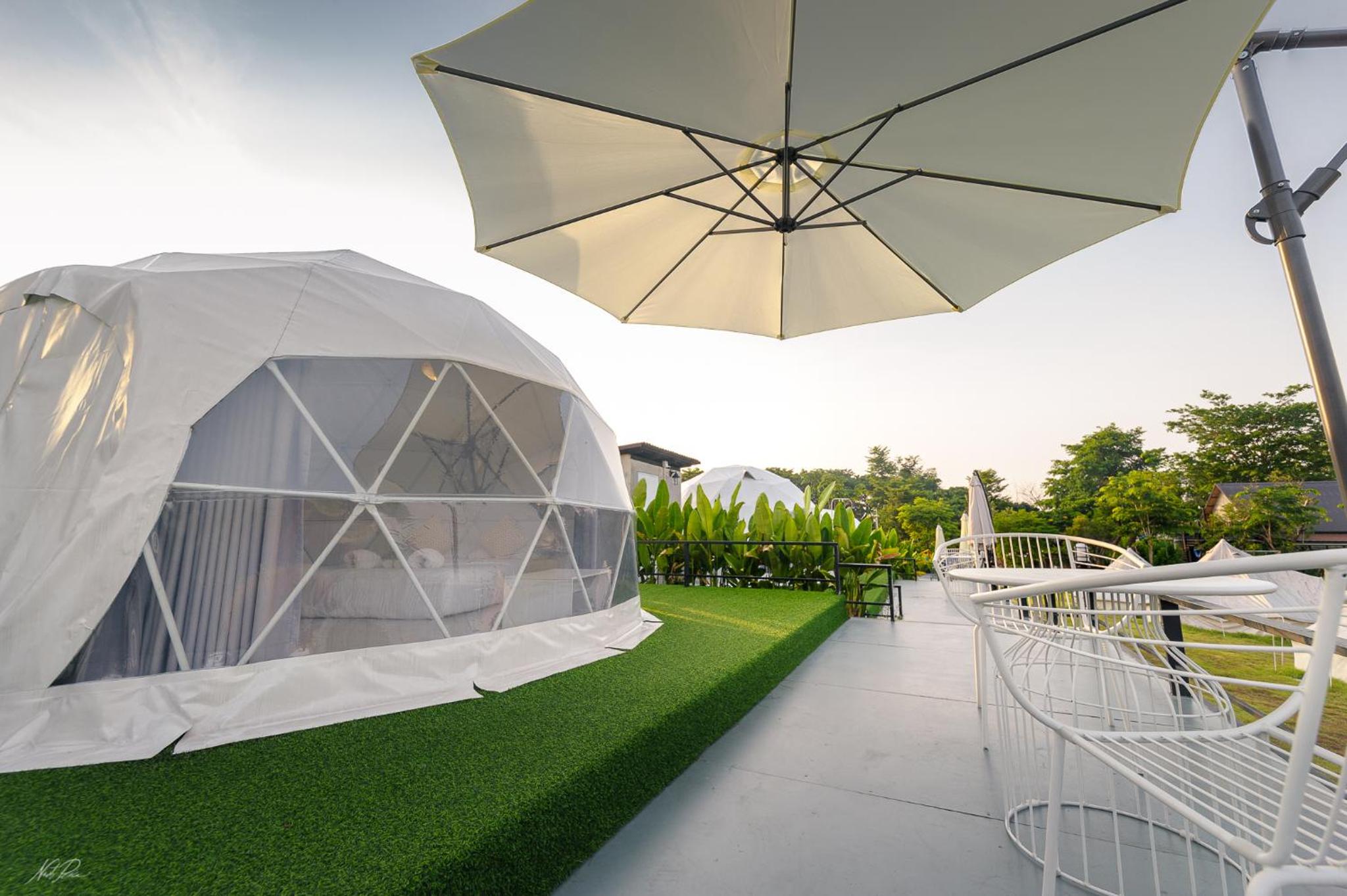 Deluxe Dome - Photo 5