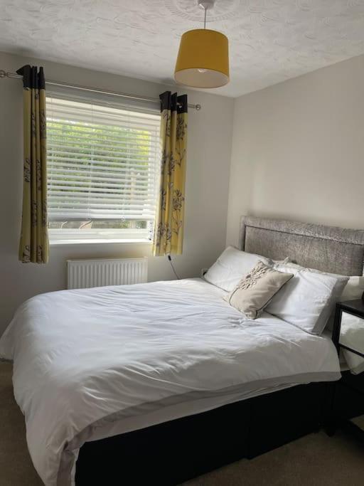 One-Bedroom House - Photo 21