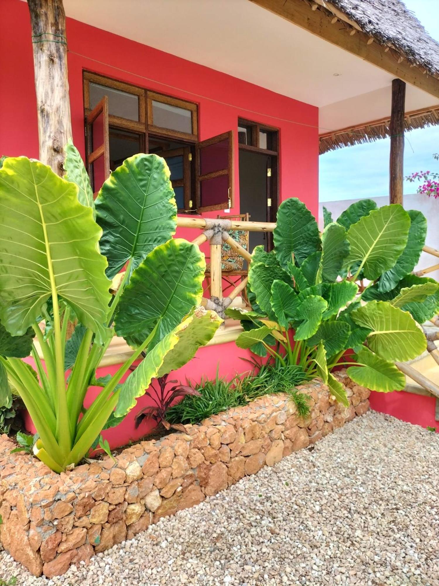 Bungalow with Sea View photo 2