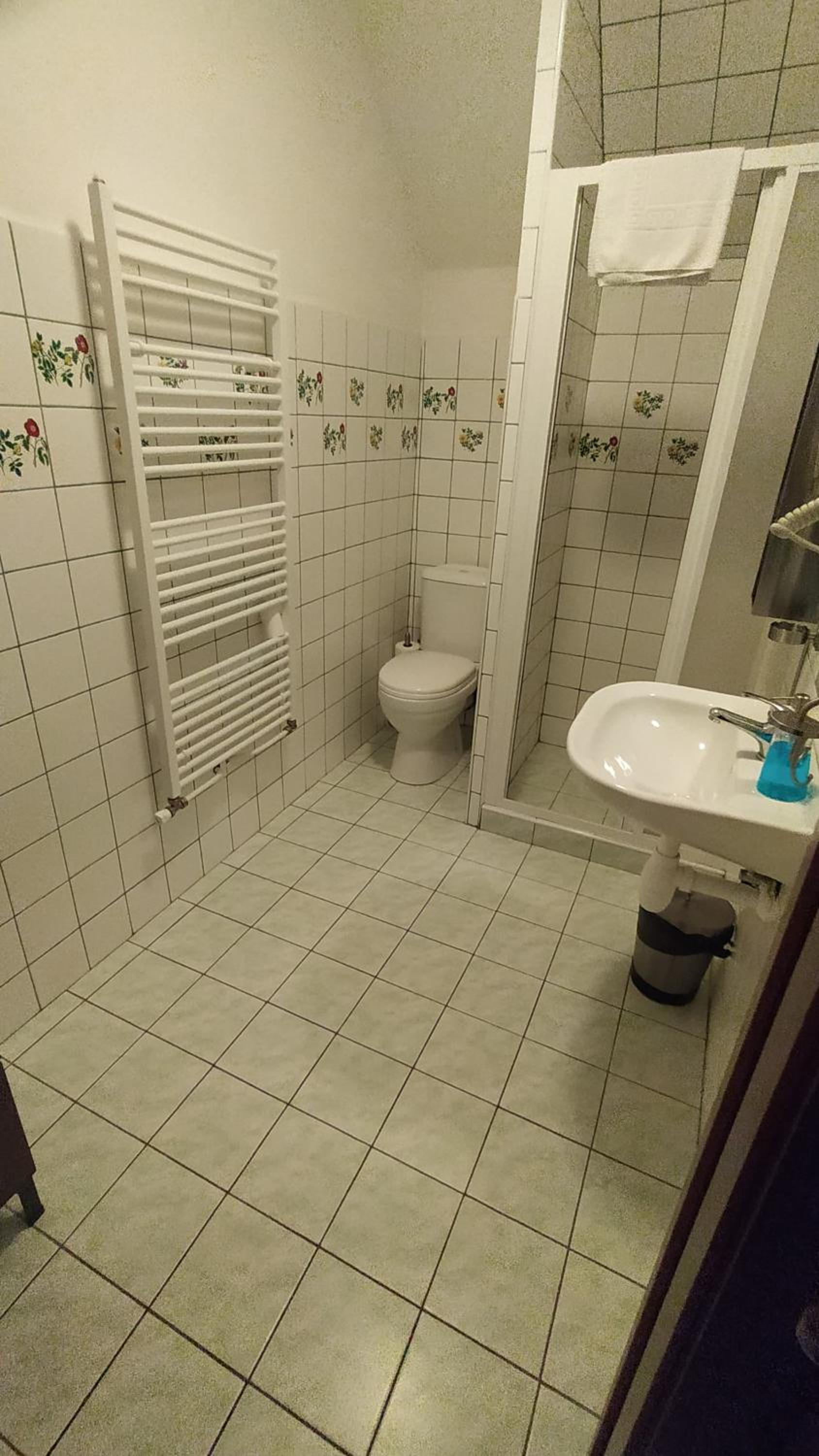 Single Room with Bathroom photo 3