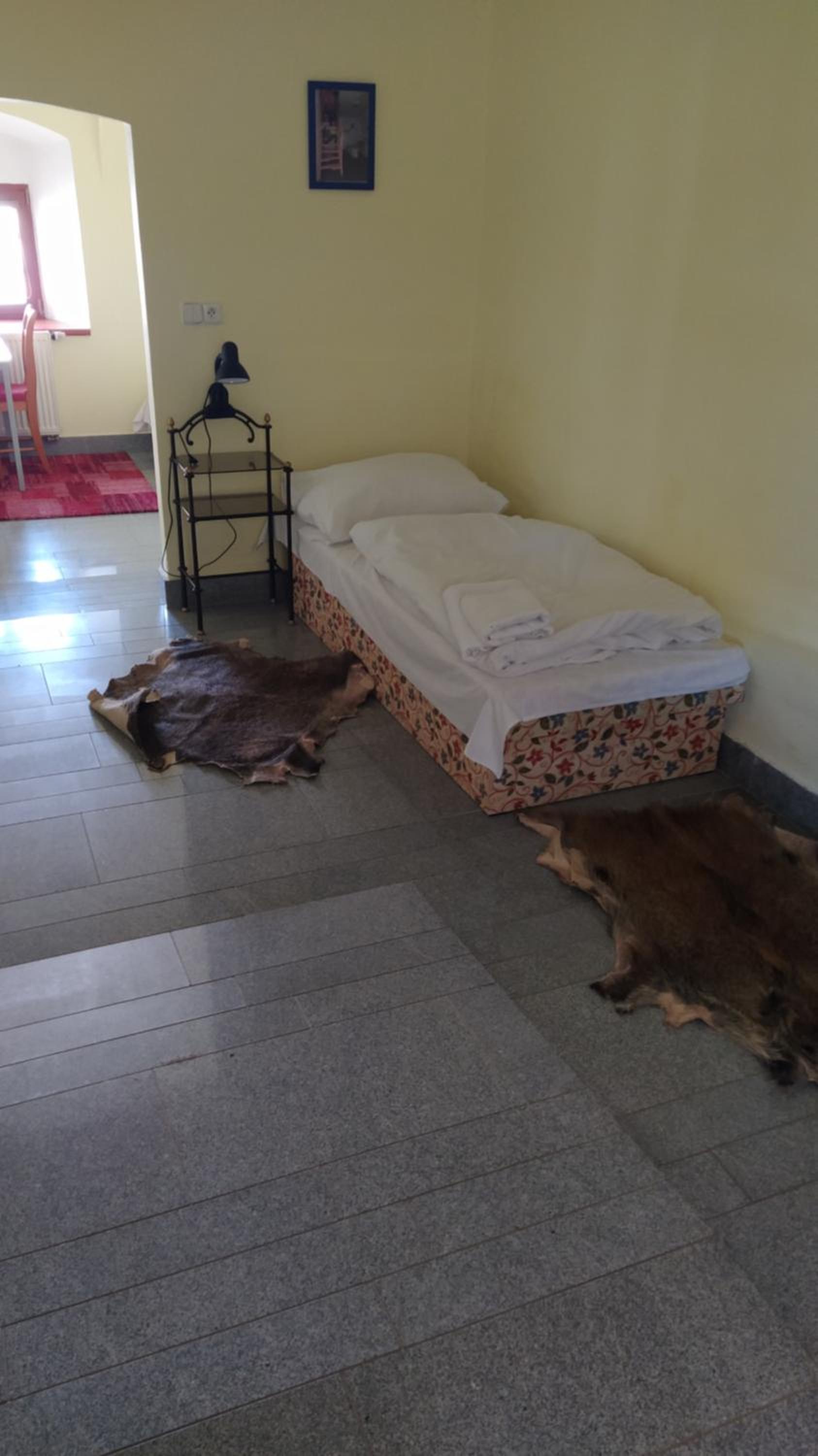 Twin Room - Disability Access photo 1