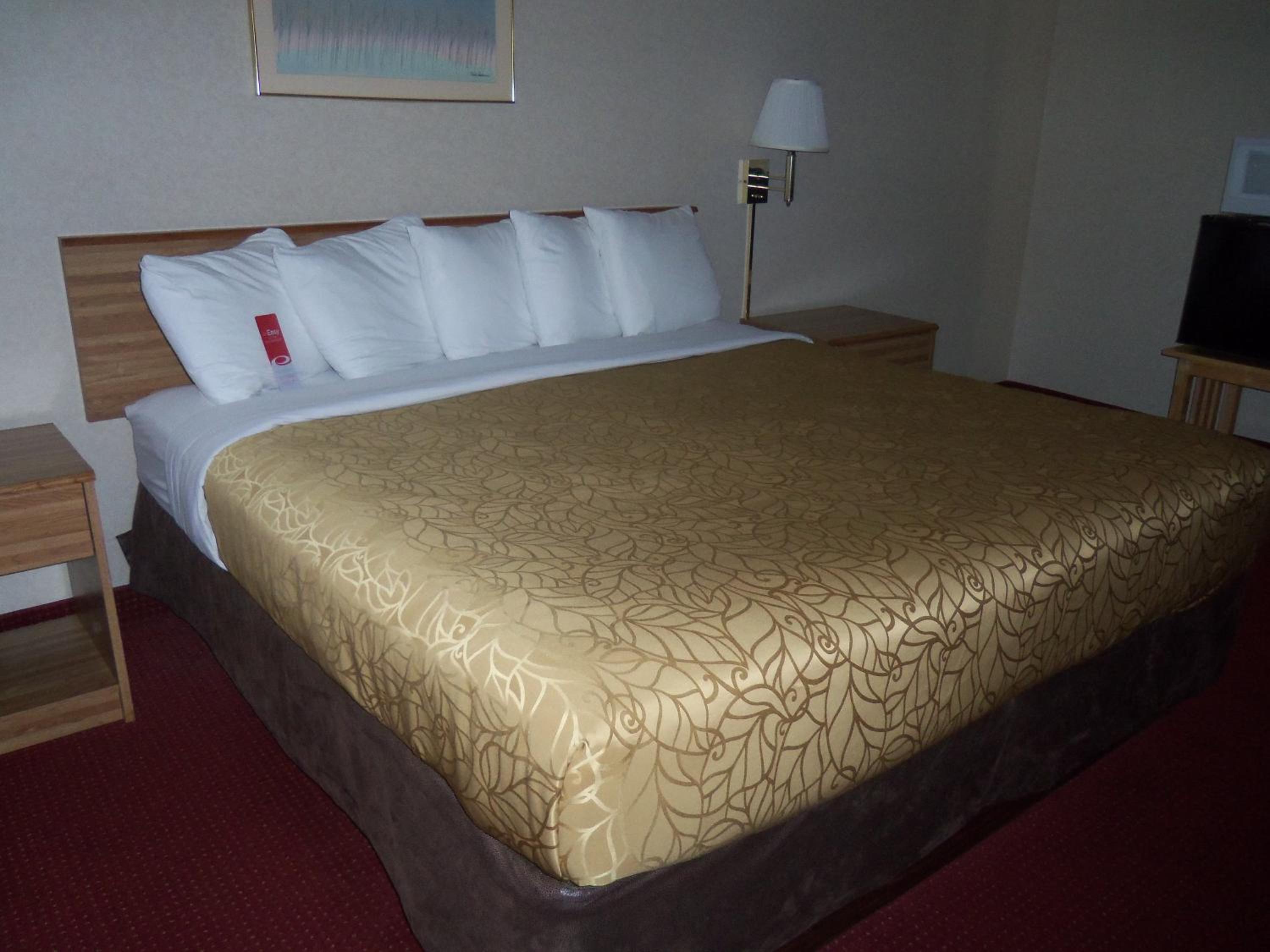 King Room - Non-Smoking - Photo 4