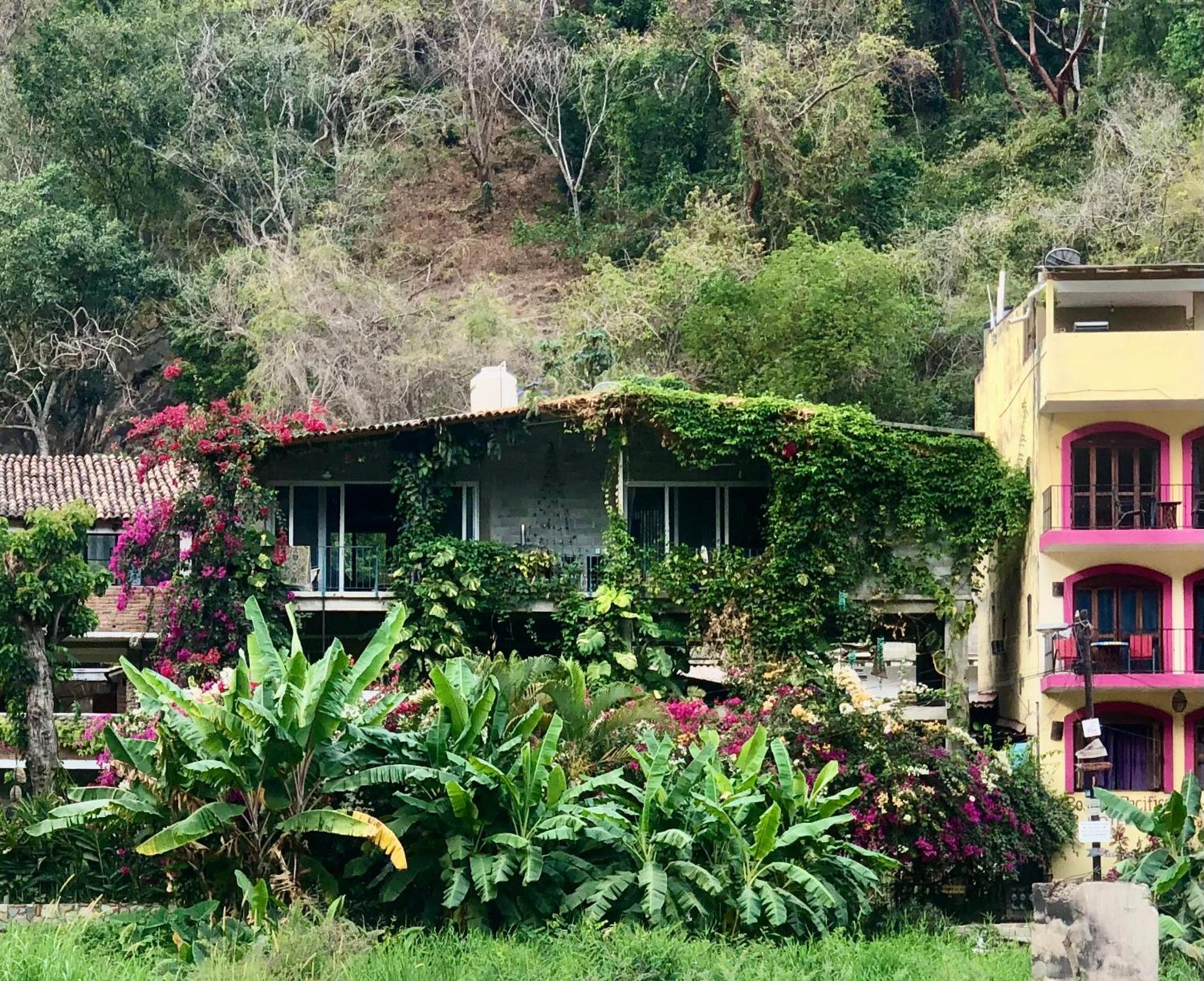 Jungle Hideaway - Photo 4