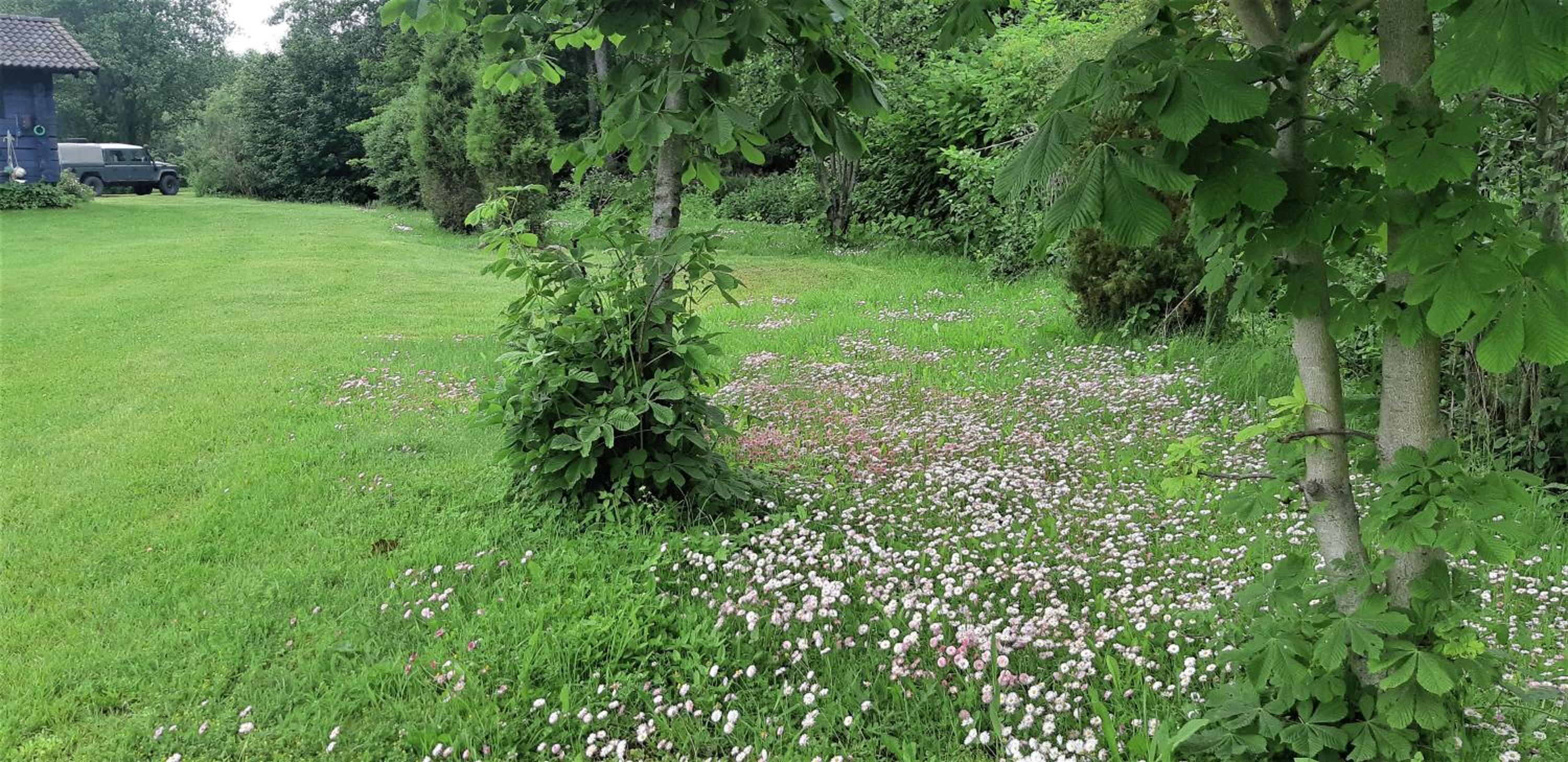Vacation Home - Photo 14