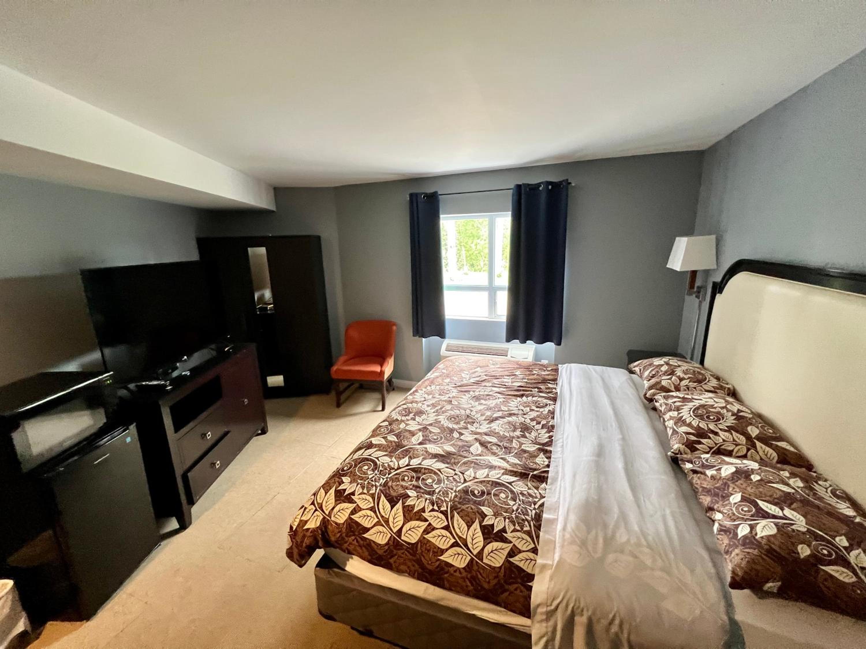 Deluxe King Suite - Photo 1