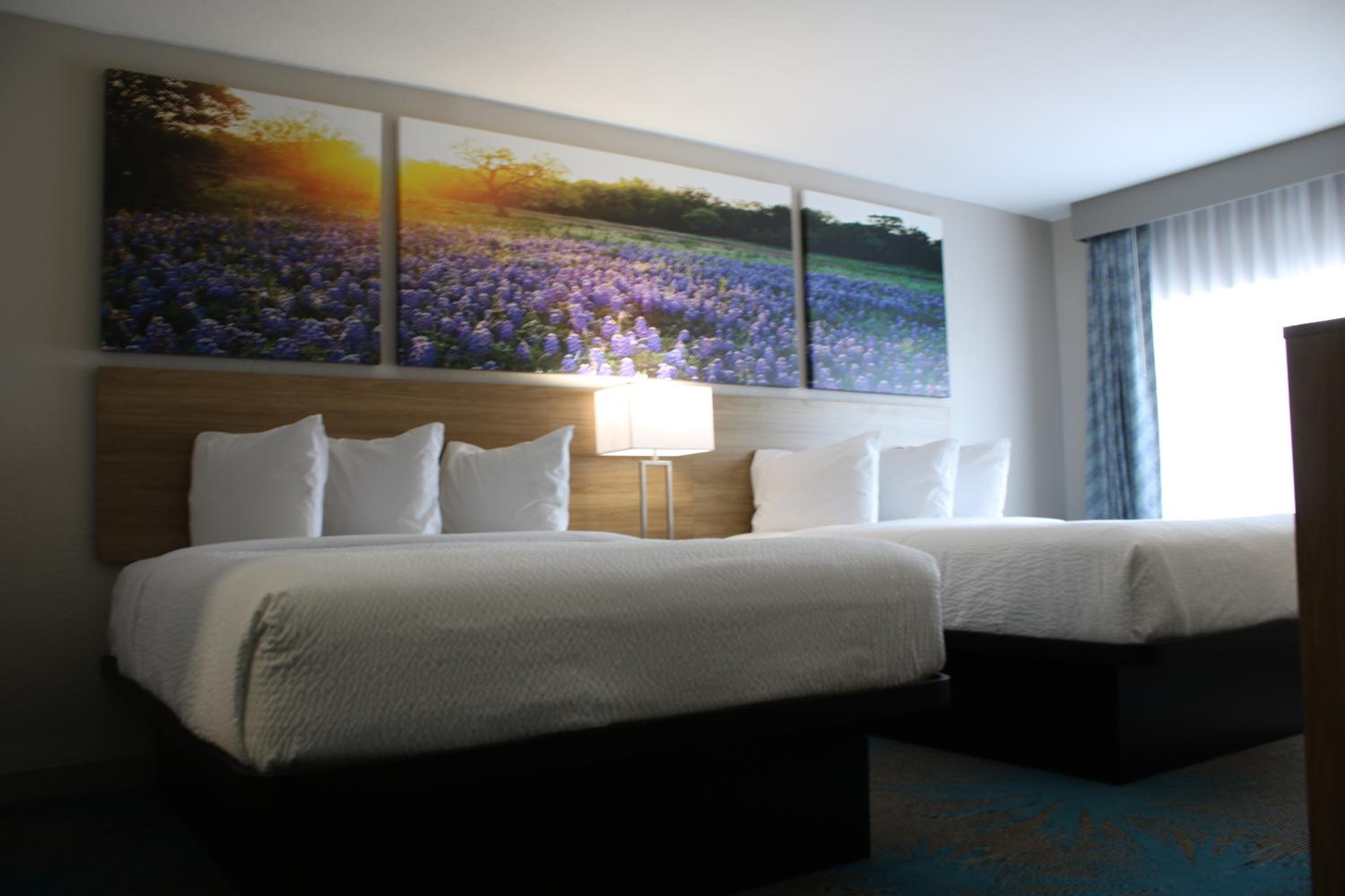 2 Queen Beds, Mobility/Hearing Accessible Room, Roll-In Shower, Non-Smoking photo 1