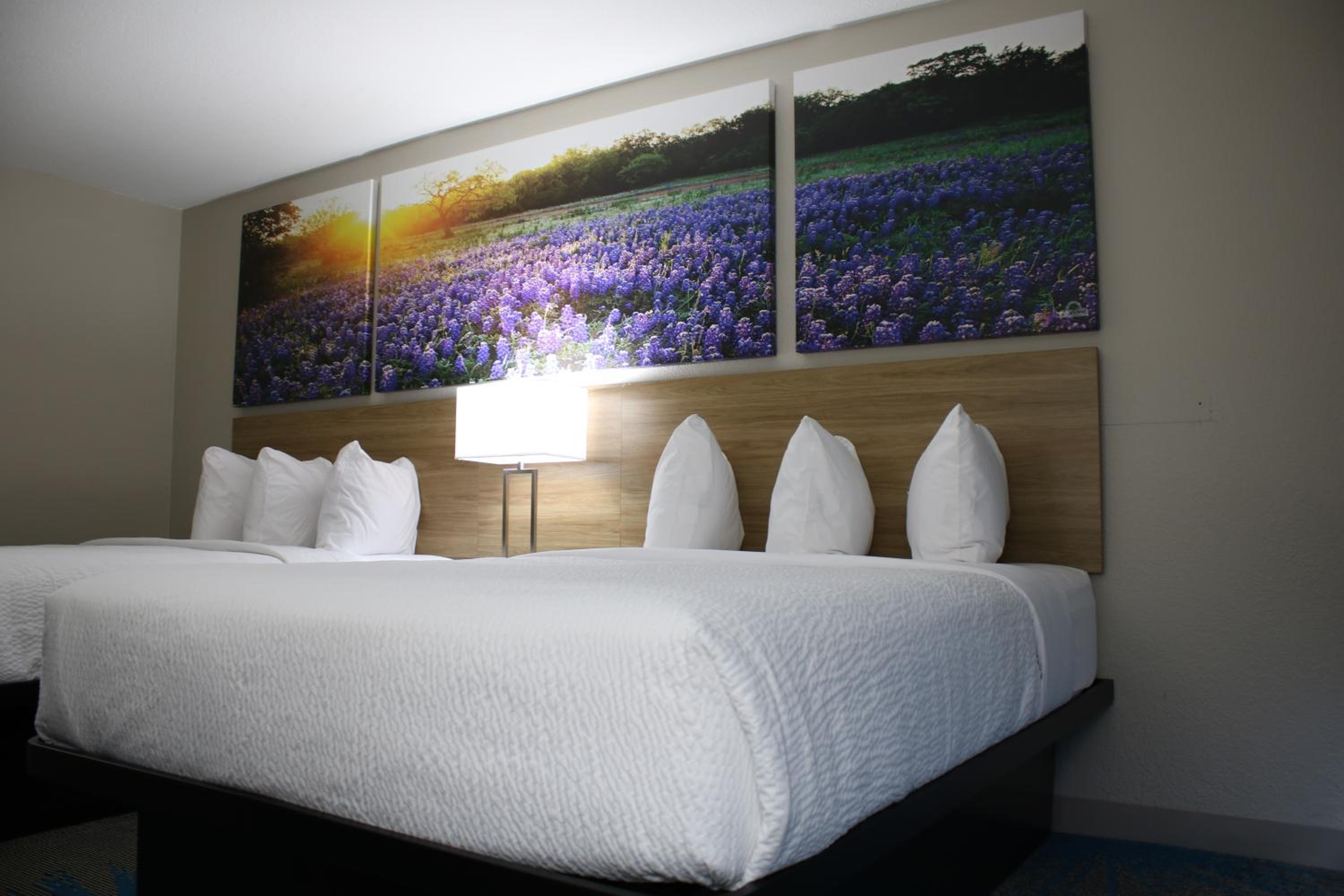 2 Queen Beds, Mobility/Hearing Accessible Room, Roll-In Shower, Non-Smoking photo 3