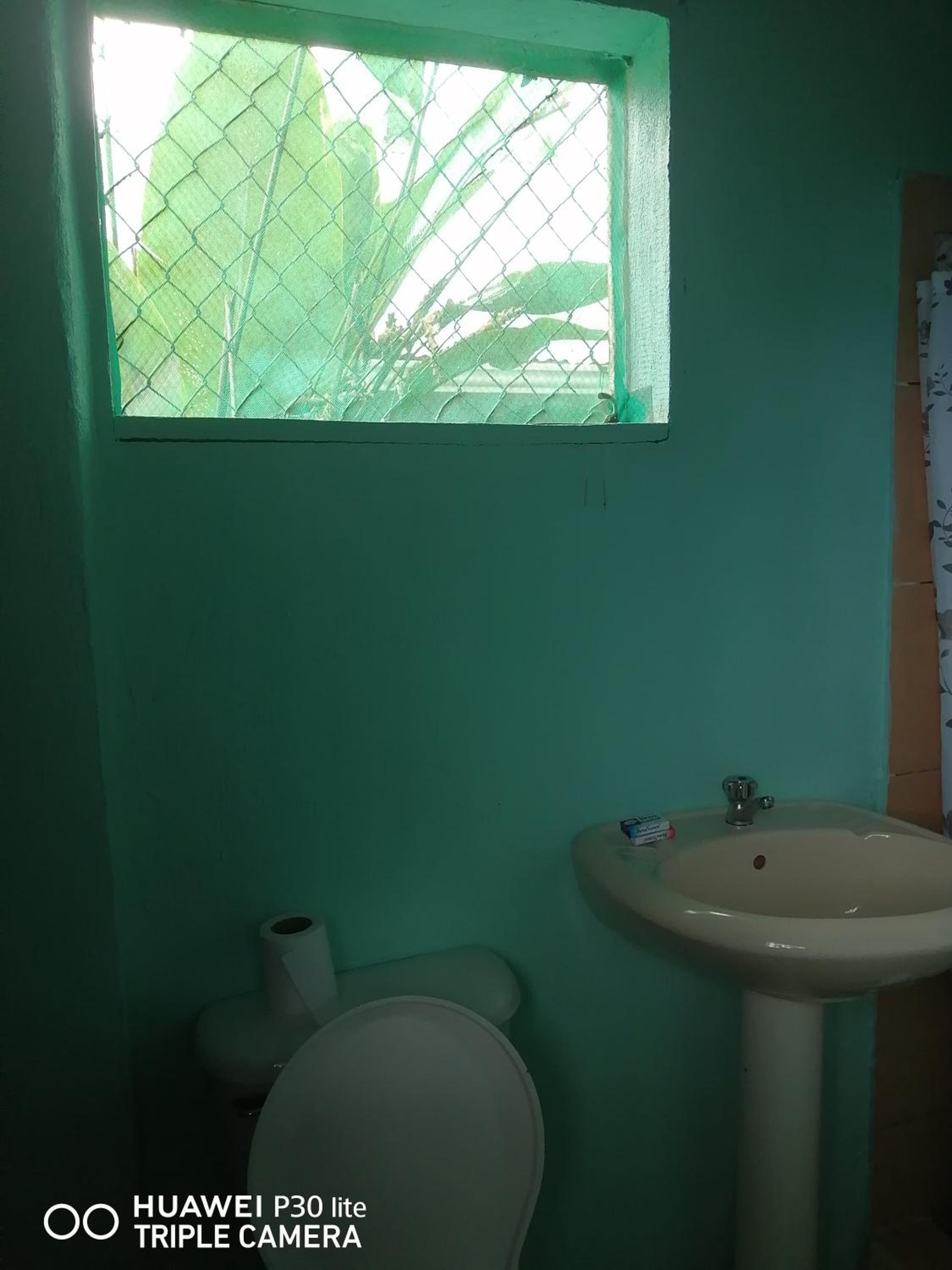 Bungalow with Garden View photo 3