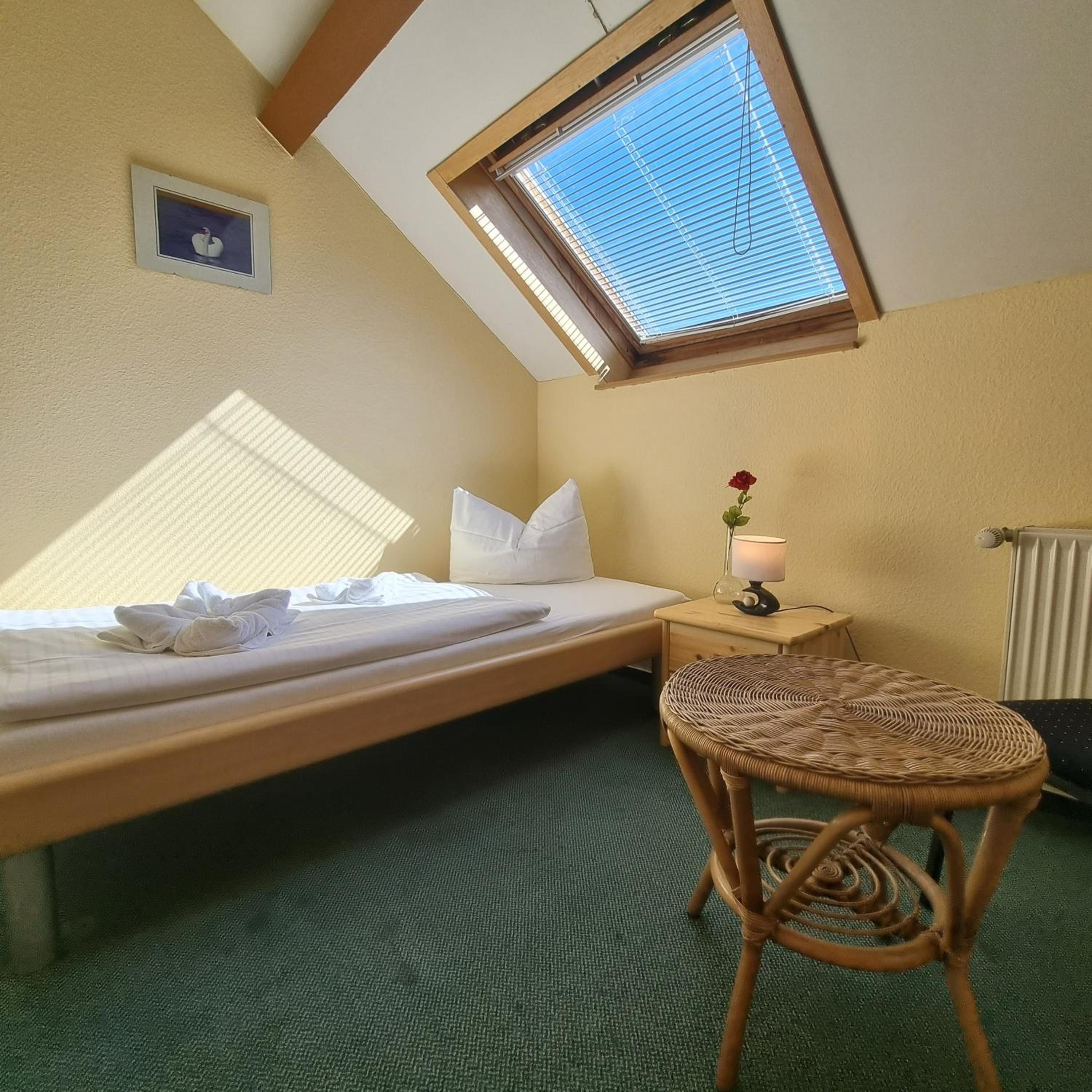 Single Room photo 1