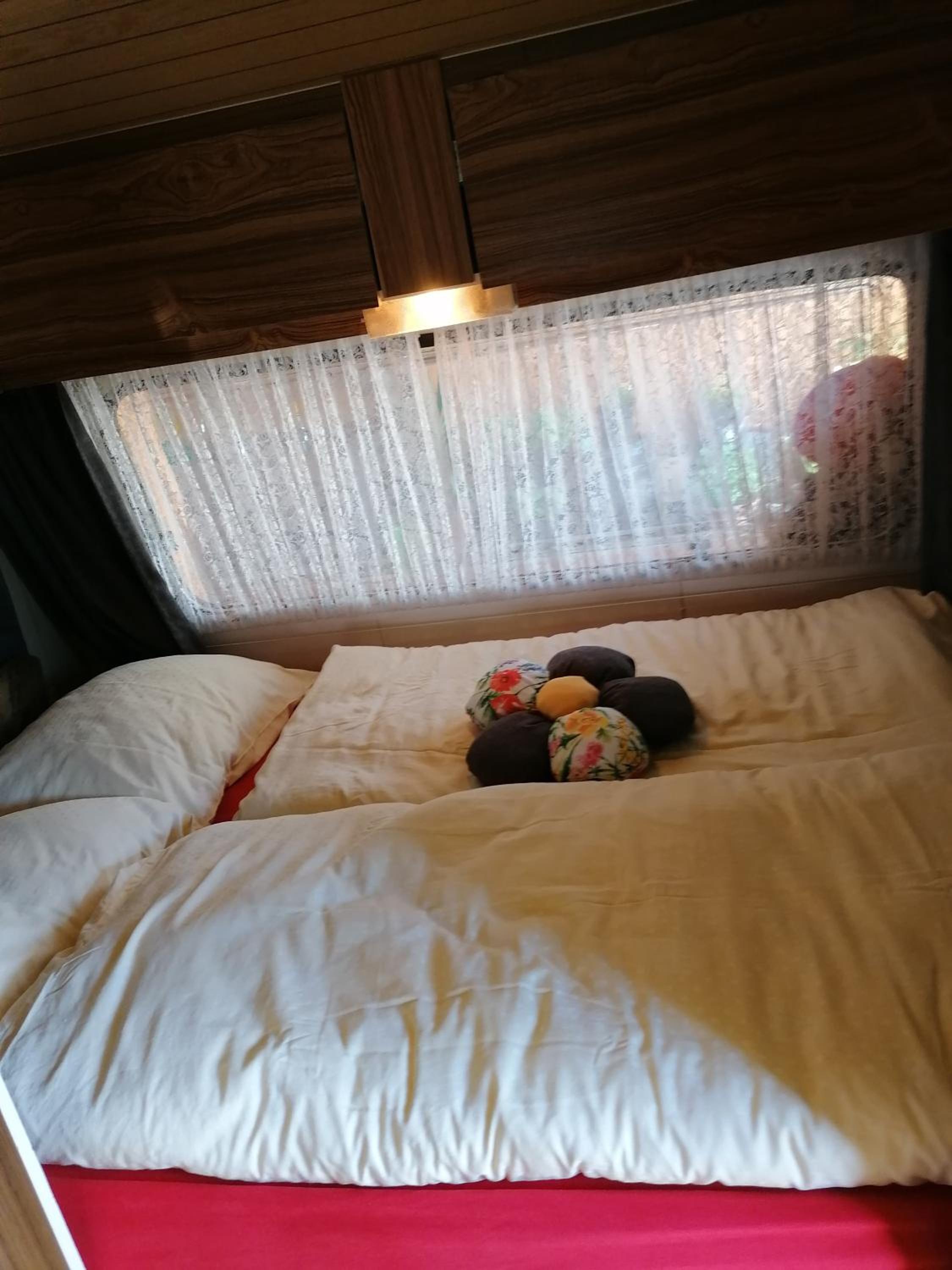 Double or Twin Room with Mountain View - Photo 3