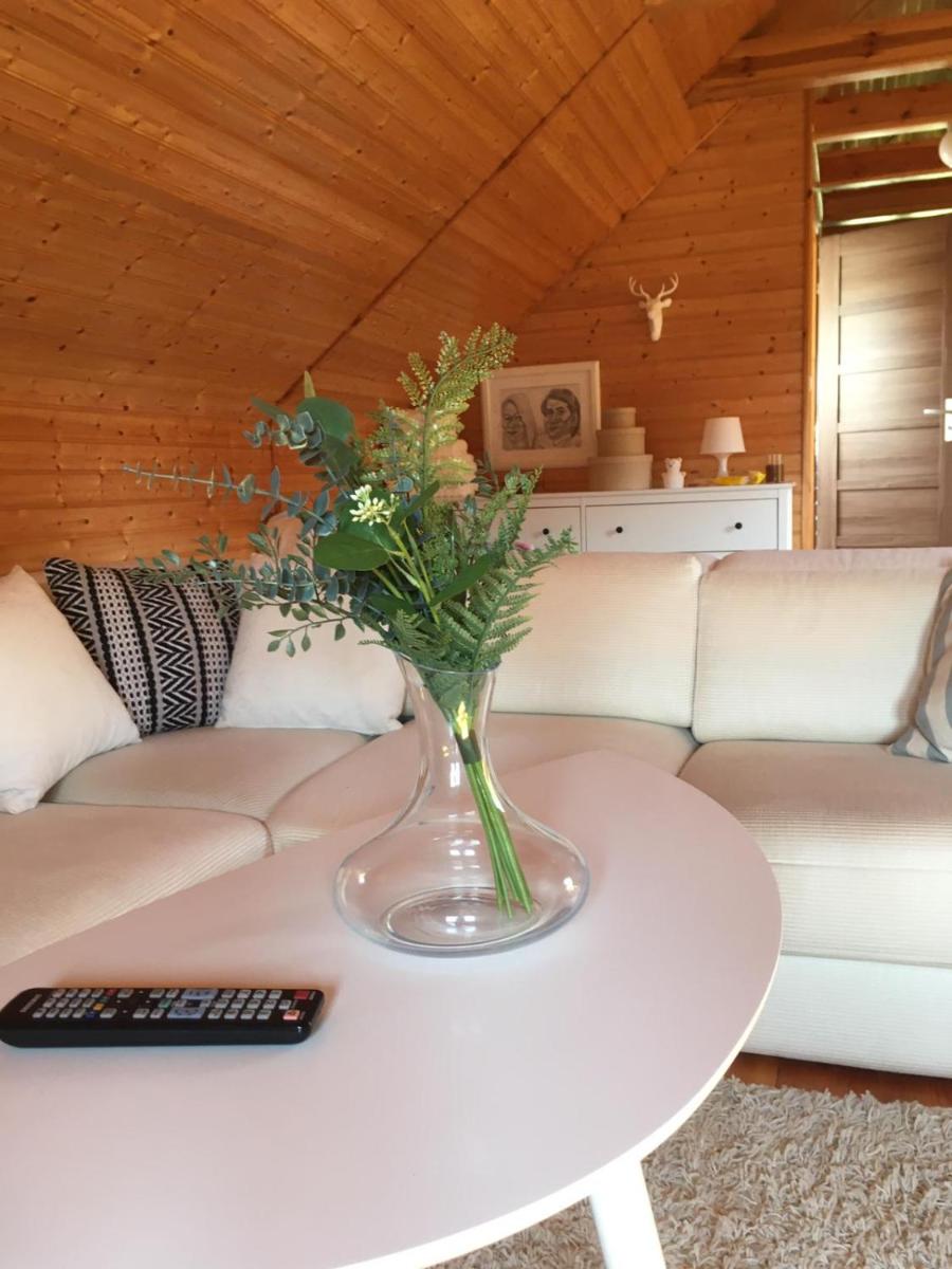 Duplex Apartment photo 3