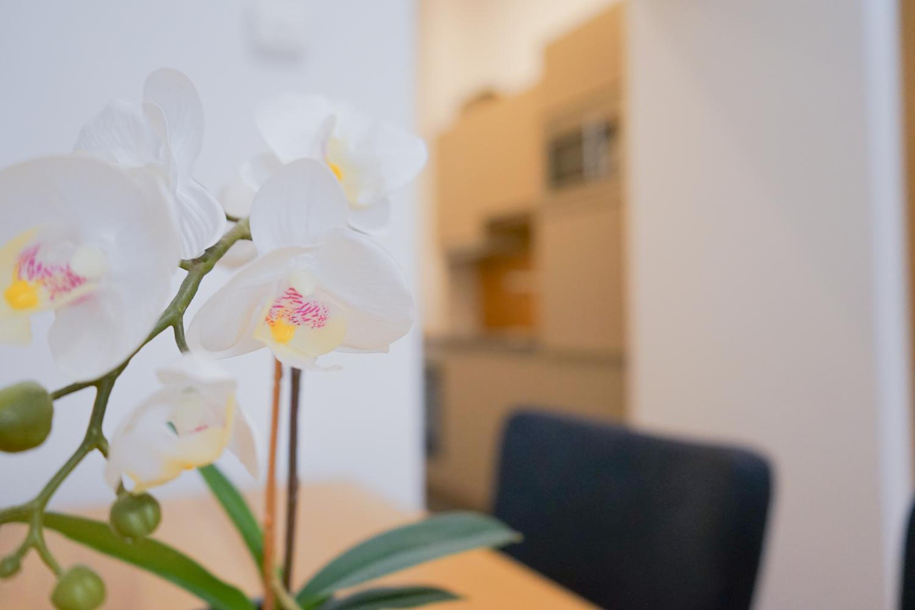 Studio Apartment — the supplier's photographs — photo 6