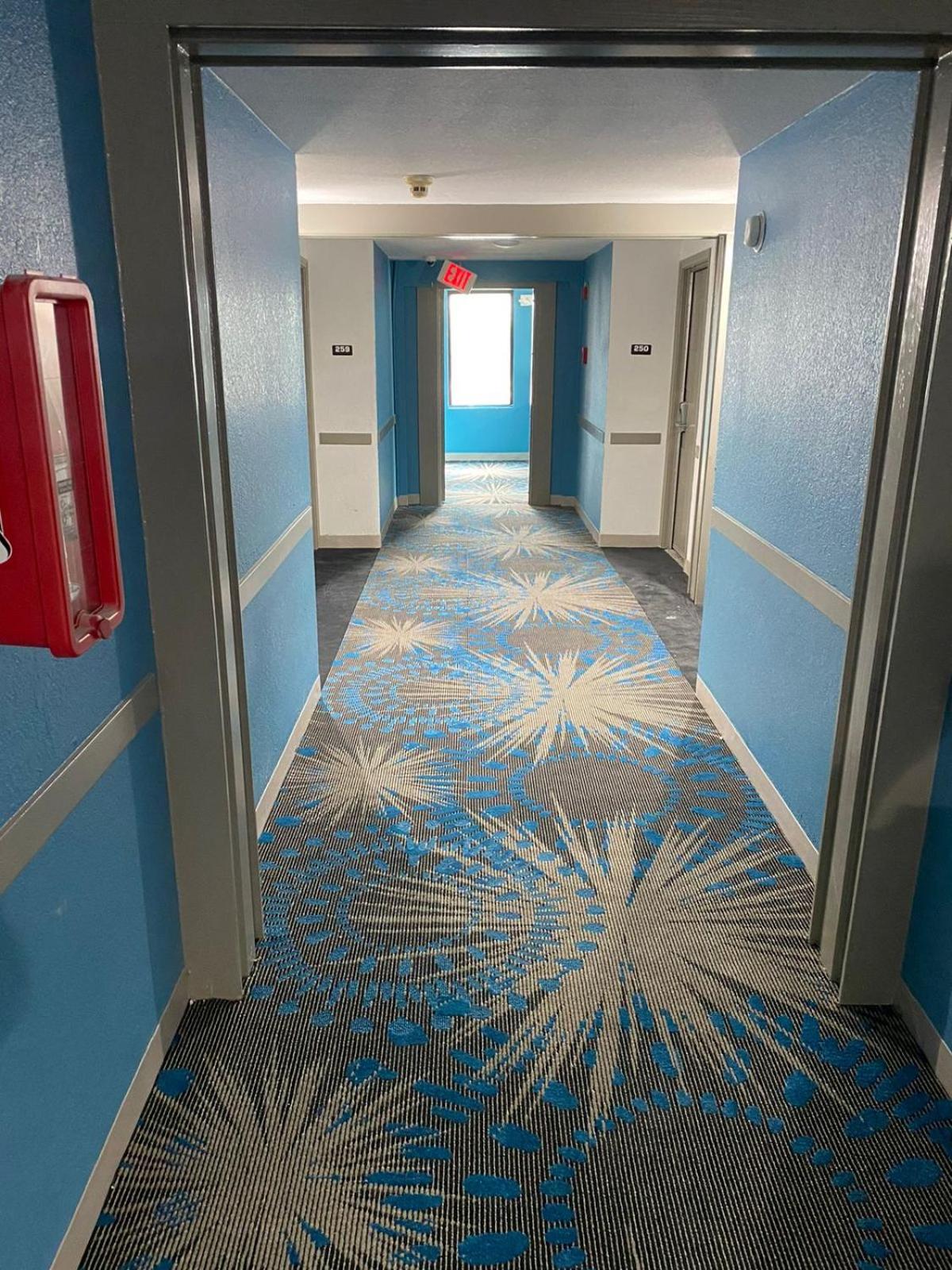 1 King Bed, Mobility/Hearing Accessible Room, Roll-In Shower, Non-Smoking photo 3