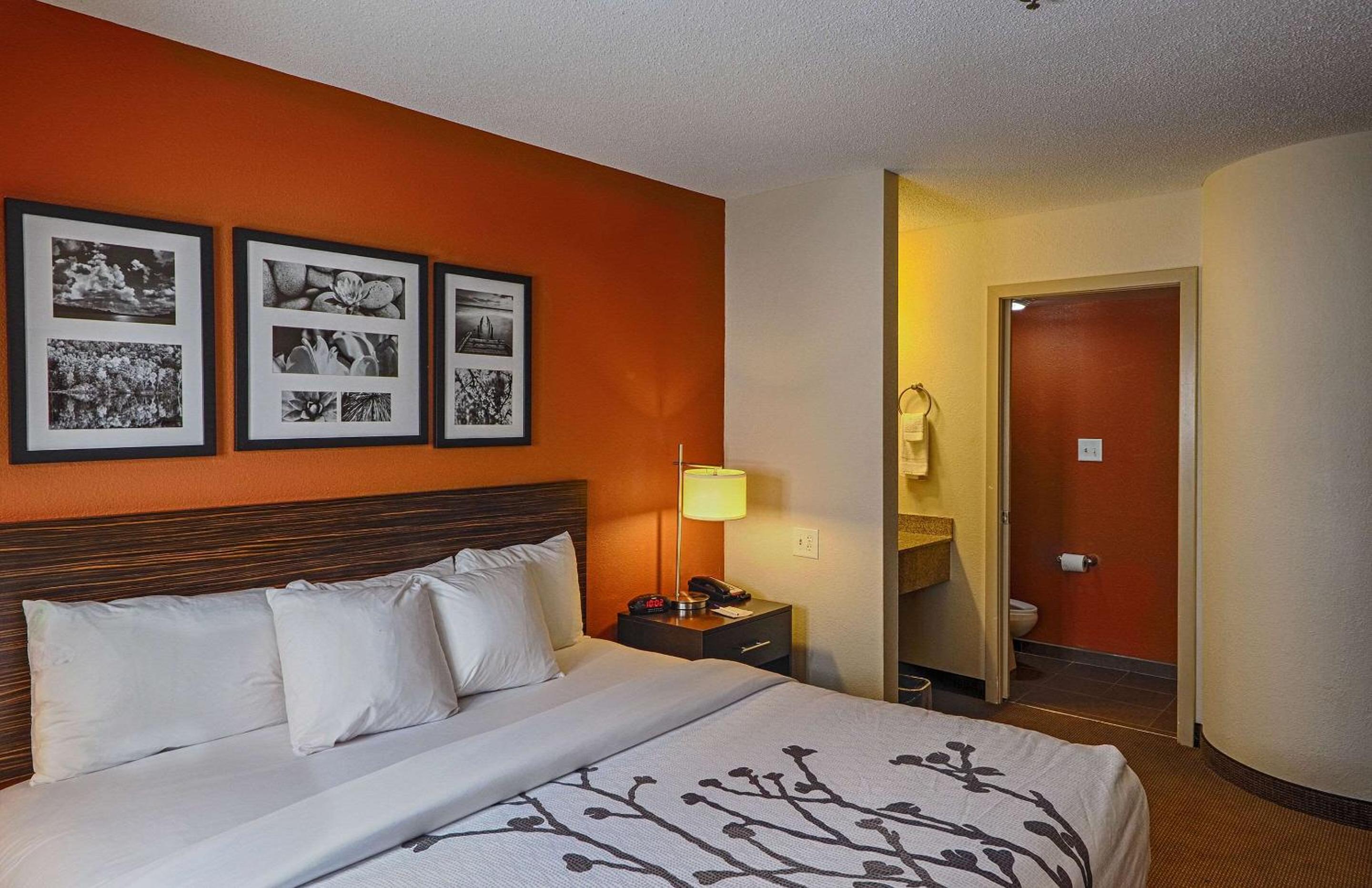 King Room - Non-Smoking - Photo 2