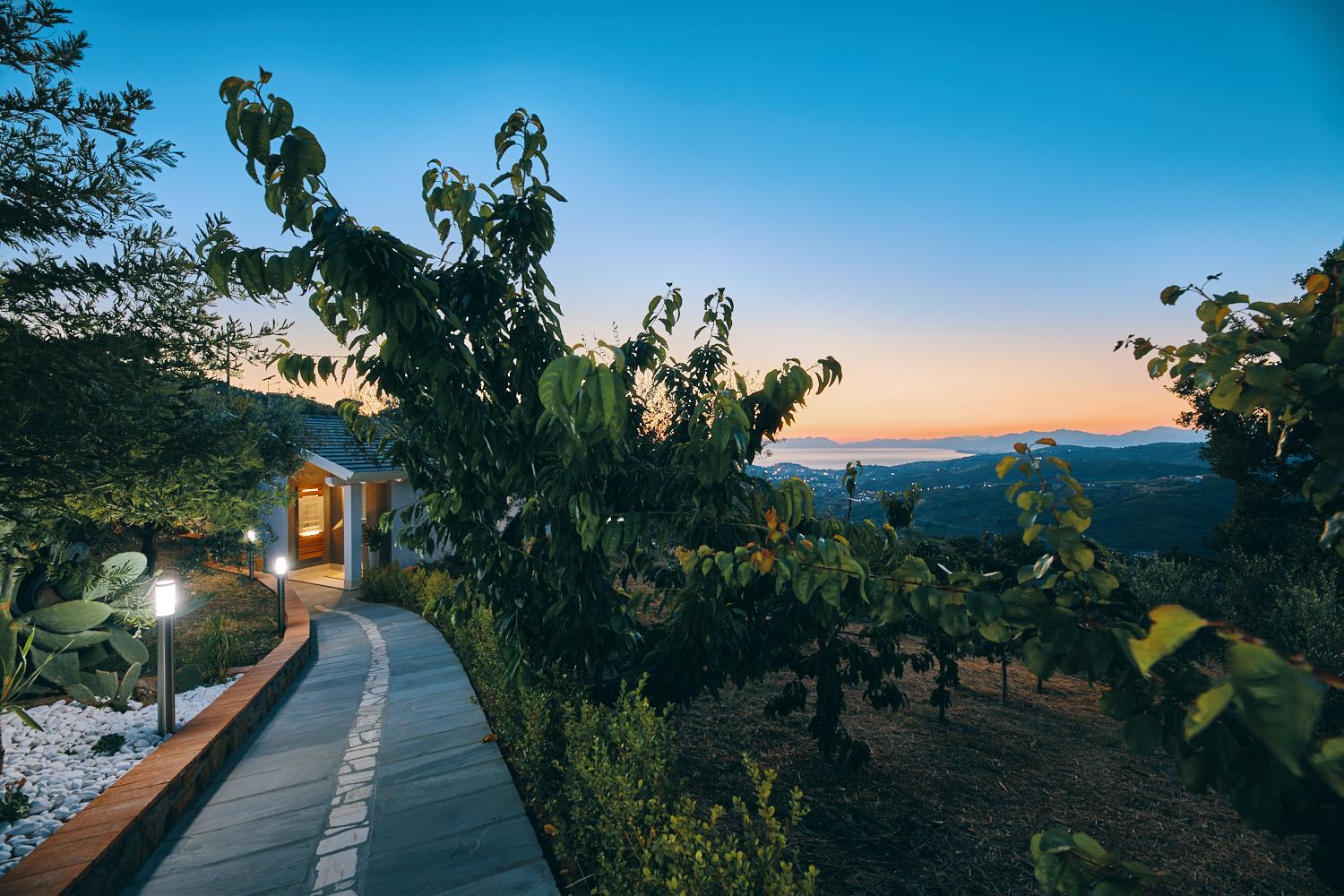 Superior Villa photo 3