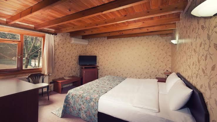 Double or Twin Room photo 2