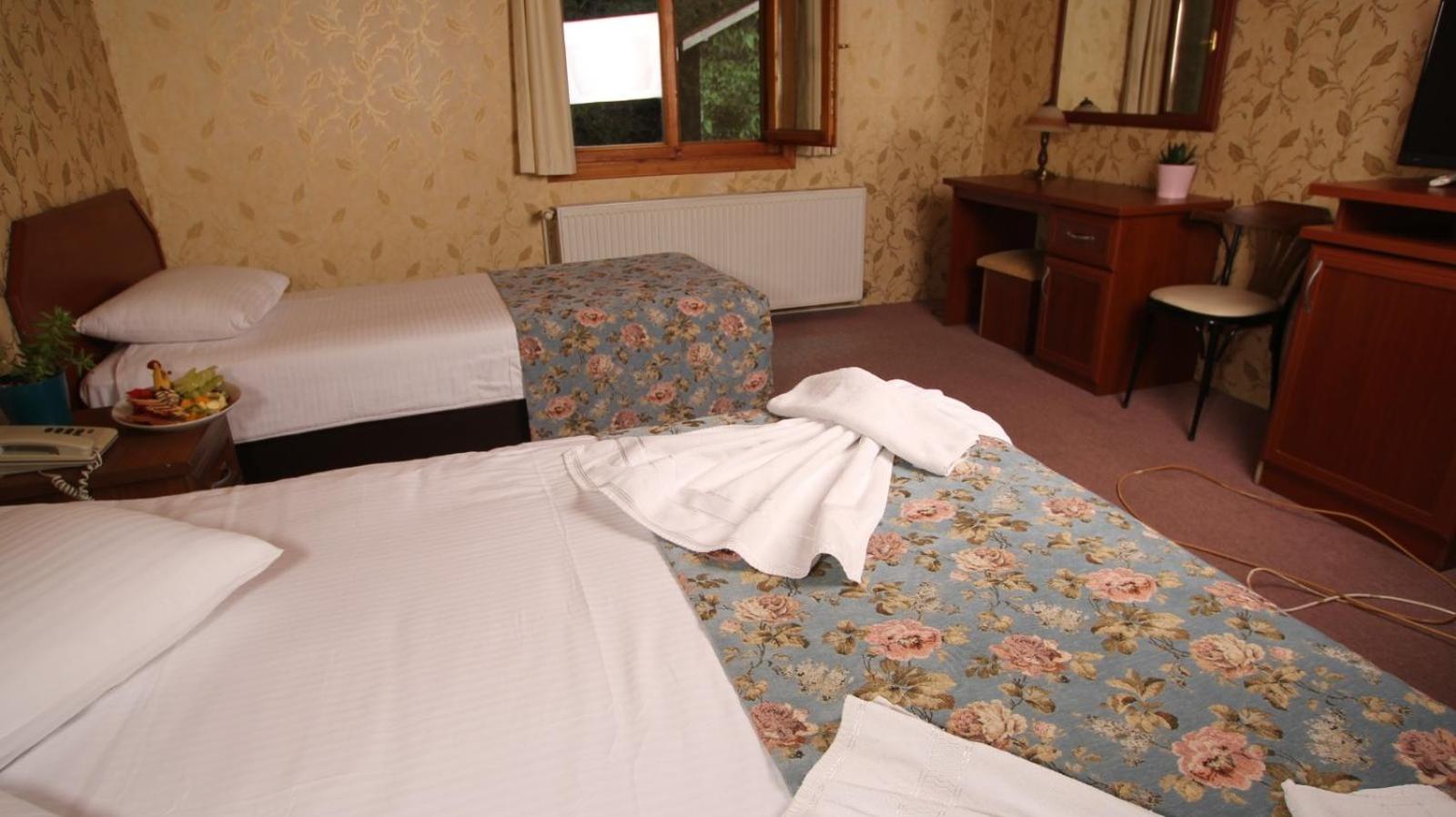 Double or Twin Room photo 3