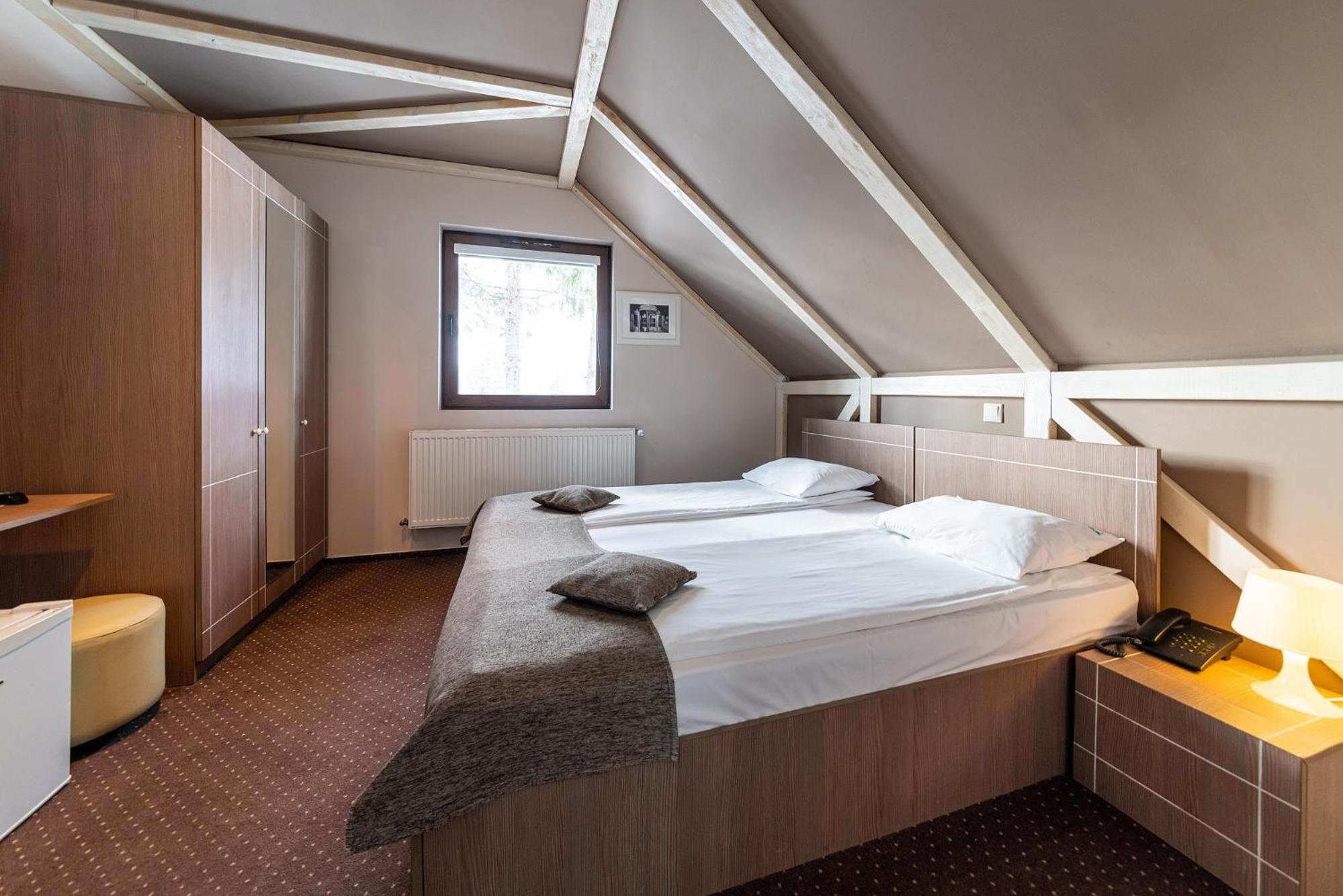 Double Room - Hanul cu Ursi la 200 metri de cladirea principala with Spa Access - Photo 1
