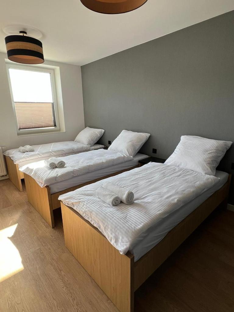 Standard Apartment photo 1