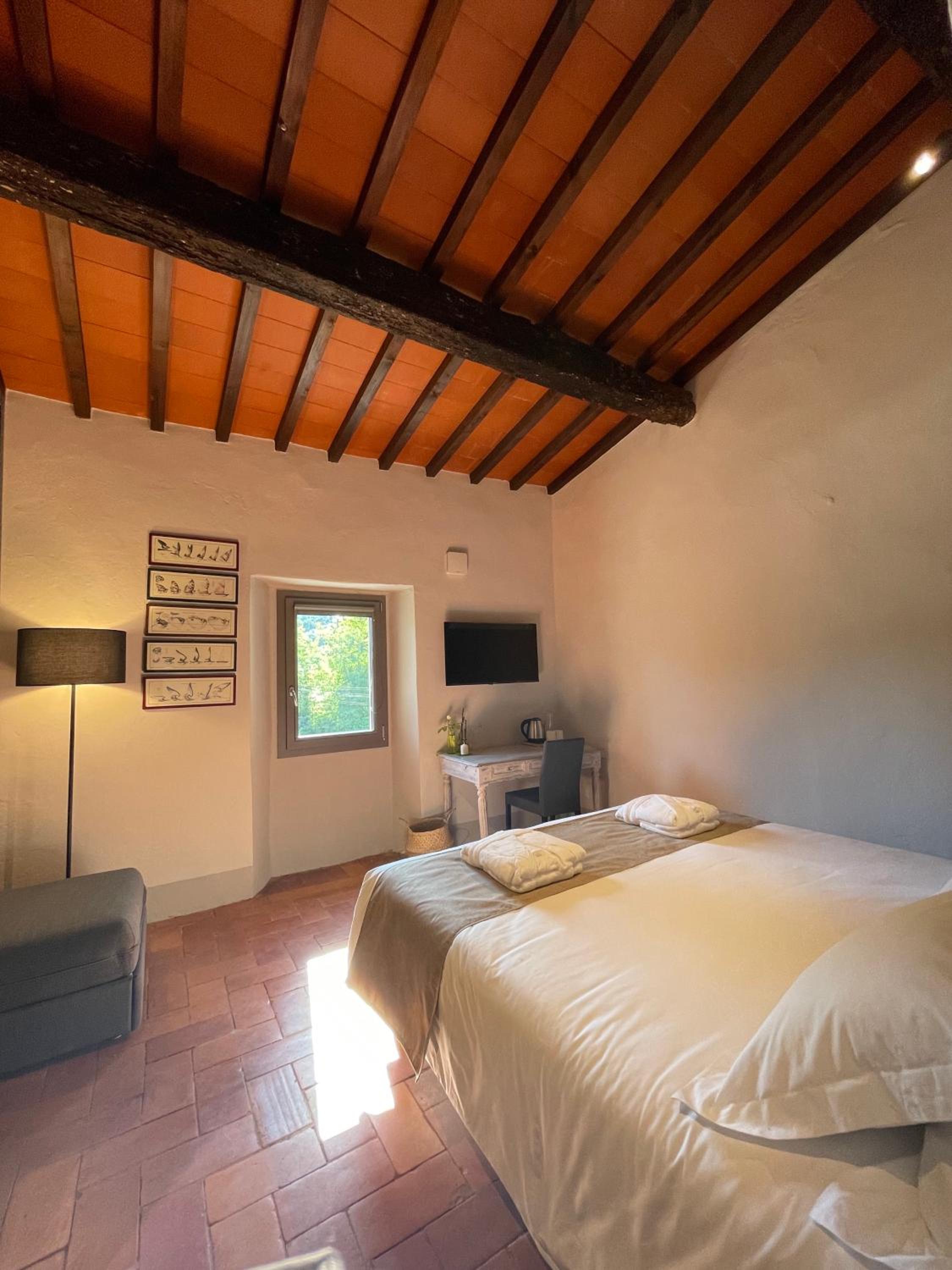 Deluxe Double or Twin Room with Garden View photo 2
