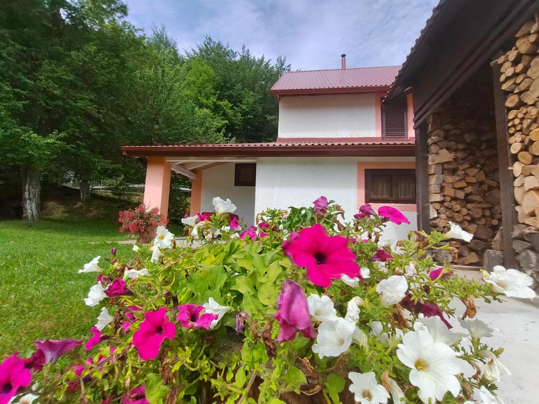 Vacation Home - Photo 22