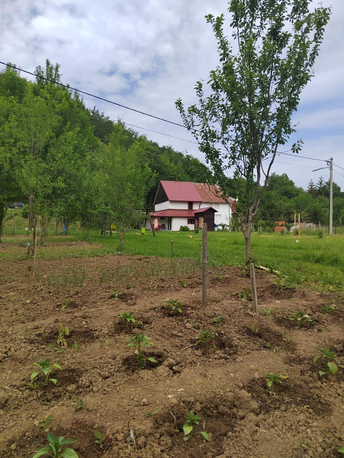 Vacation Home - Photo 36