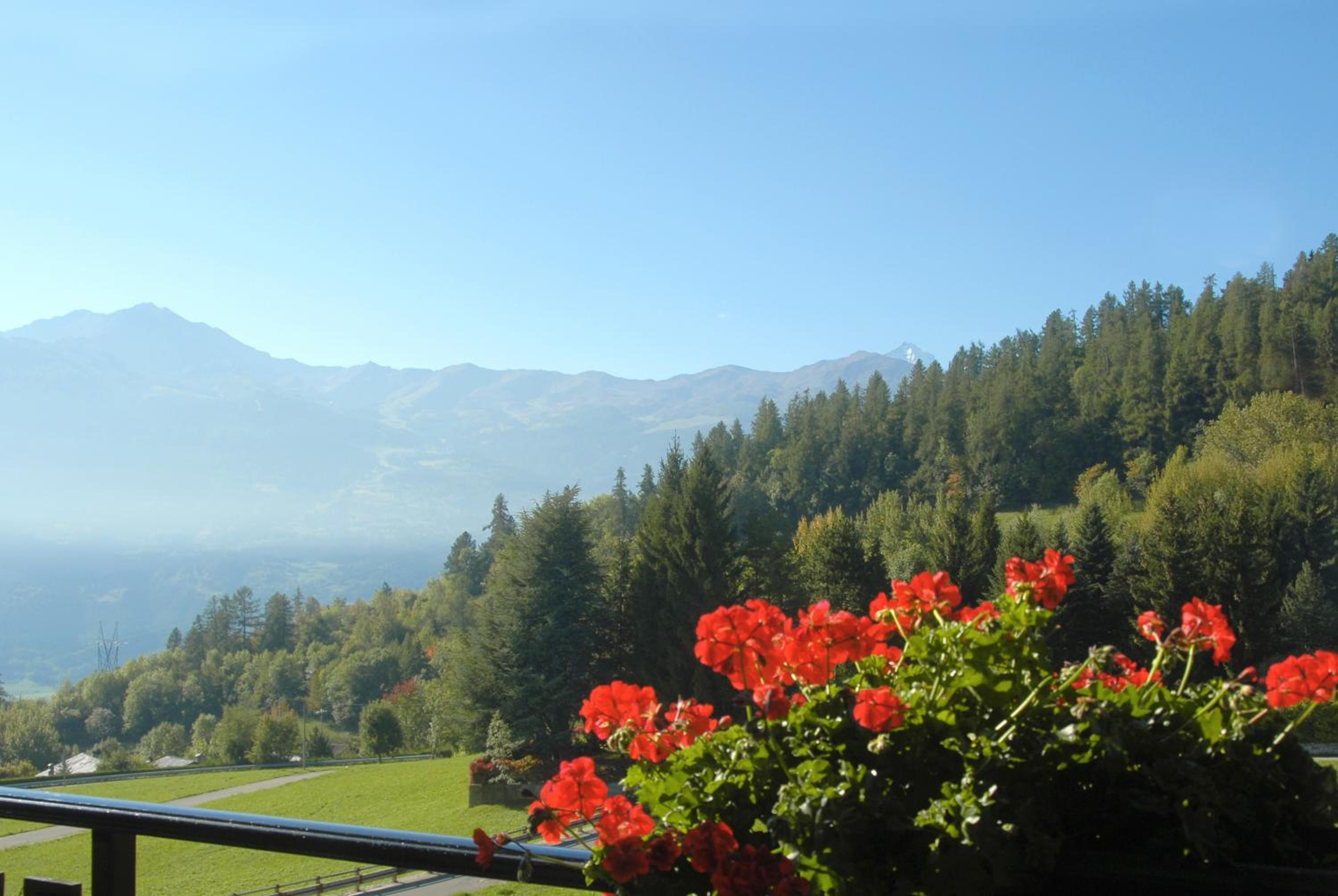 One-Bedroom Apartment with Garden View photo 2