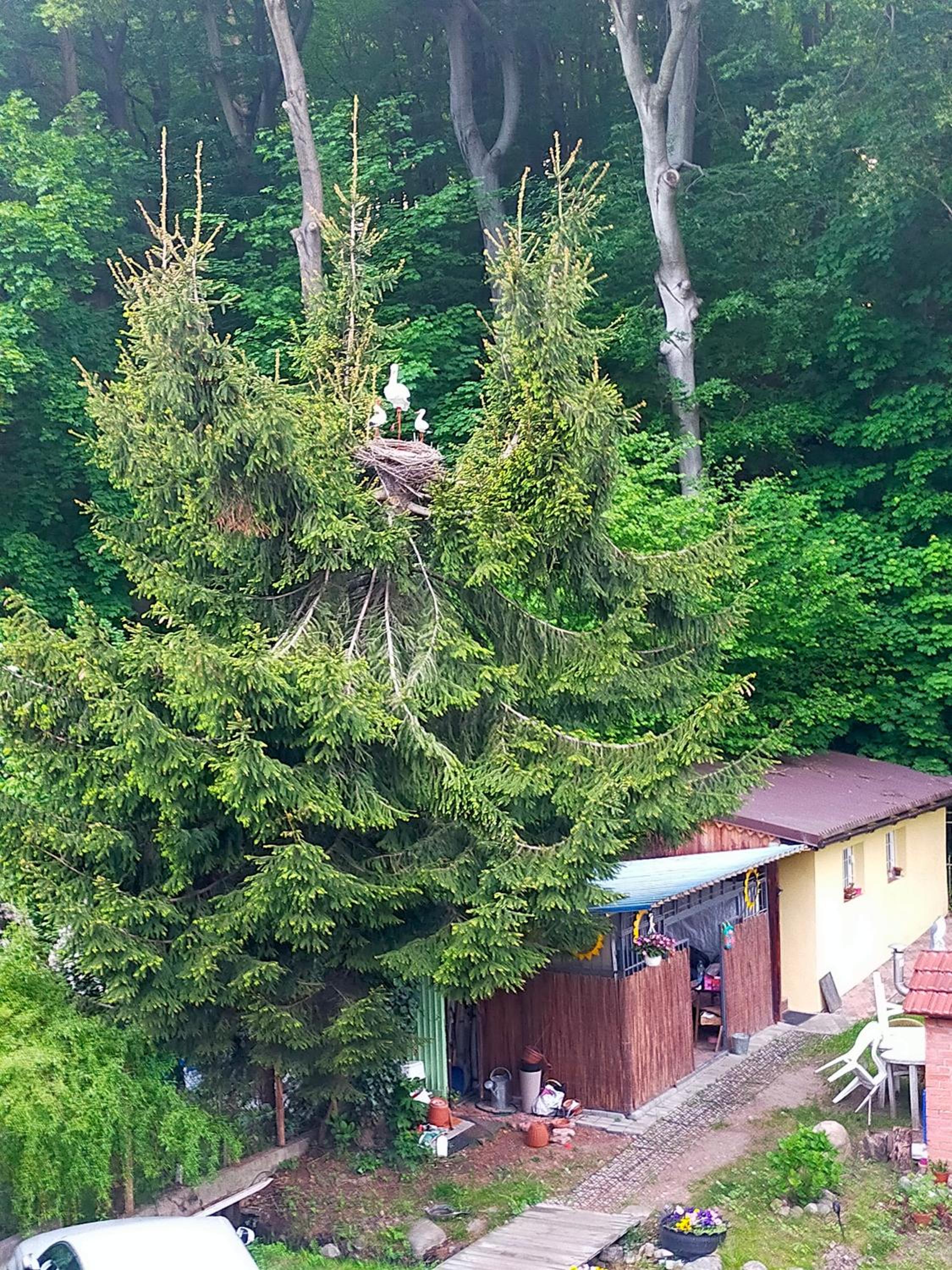 Double Room with Balcony (3 Adults) - Photo 3