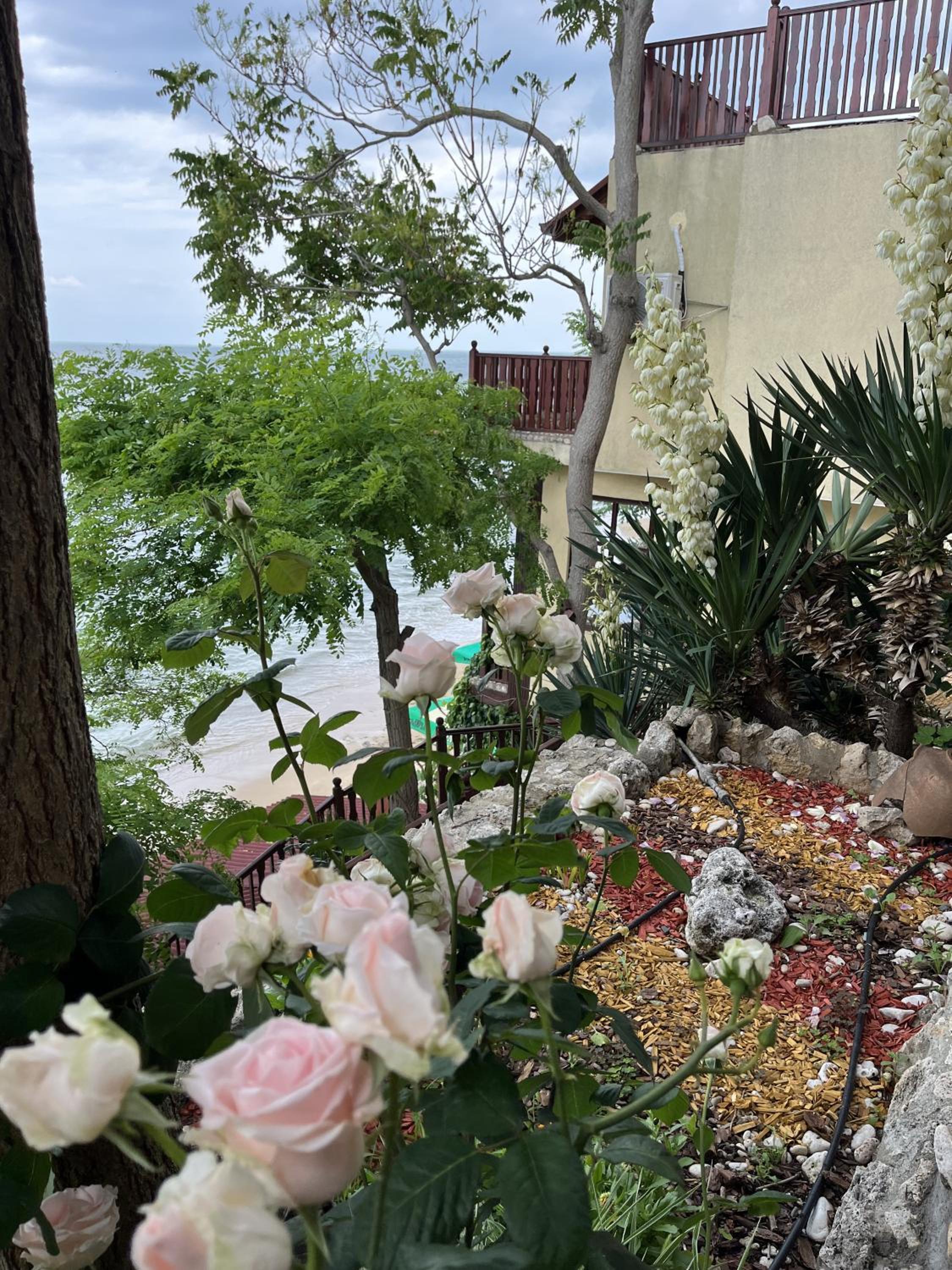 Double Room with Sea View and Balcony photo 3