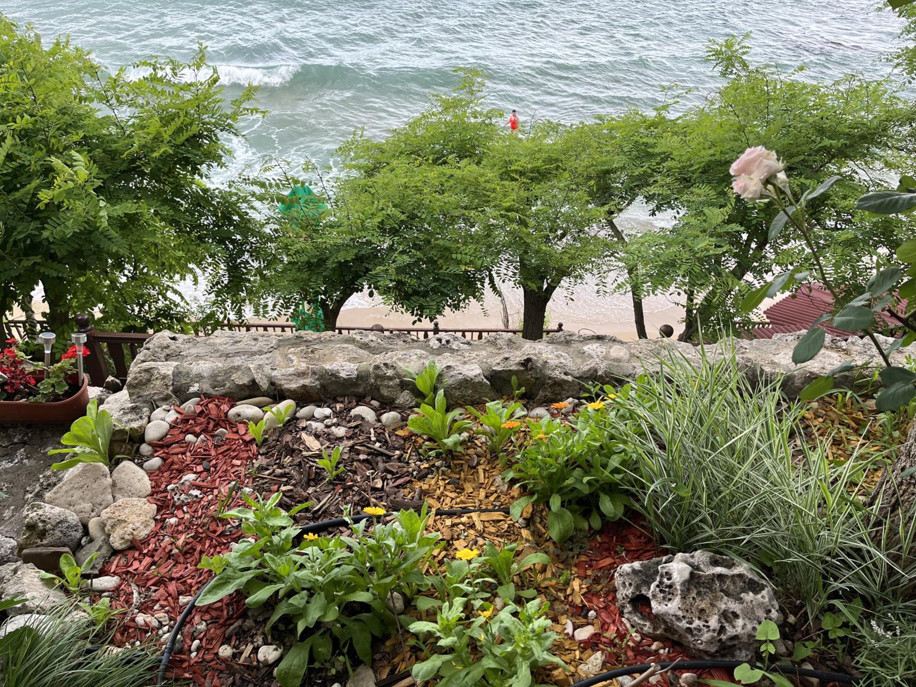 Double Room with Sea View and Balcony photo 2