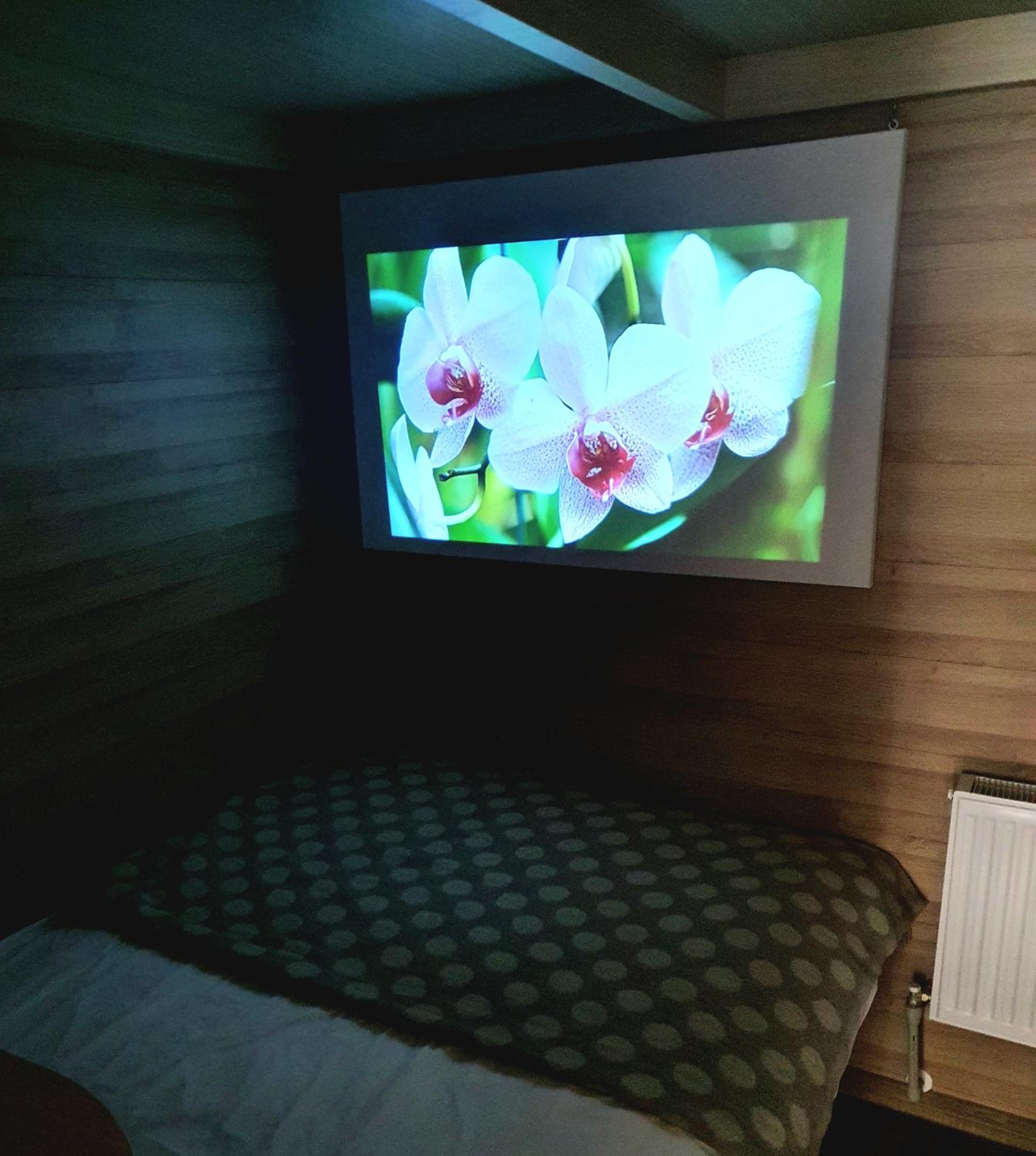 Apartment - Photo 28