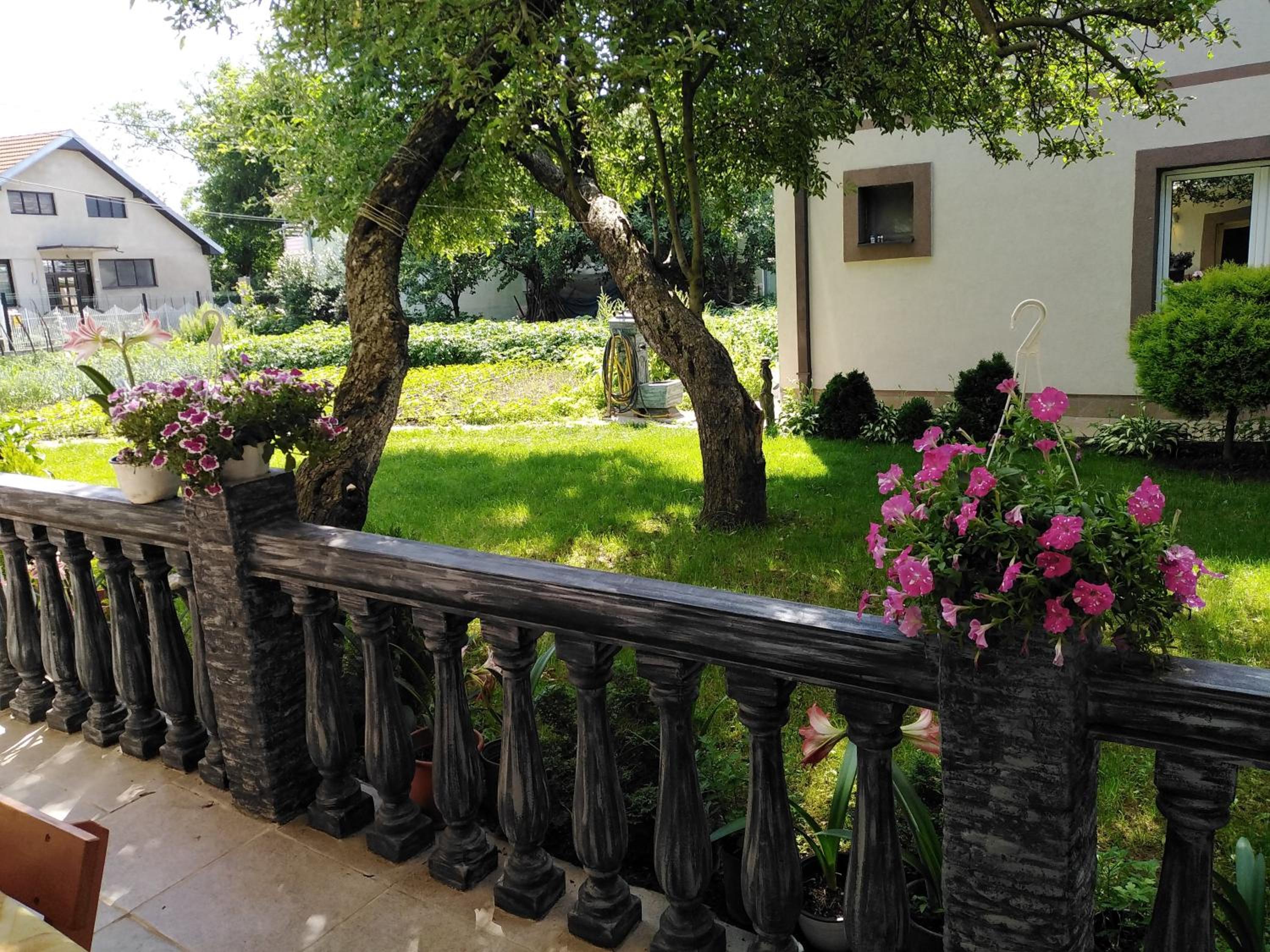 Apartment with Garden View photo 2