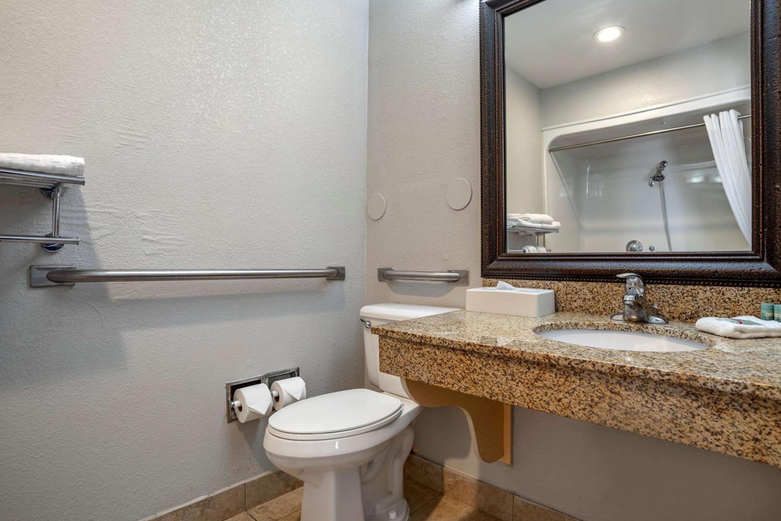 Queen Suite with Mobility Accessible Roll-In Shower - Photo 5