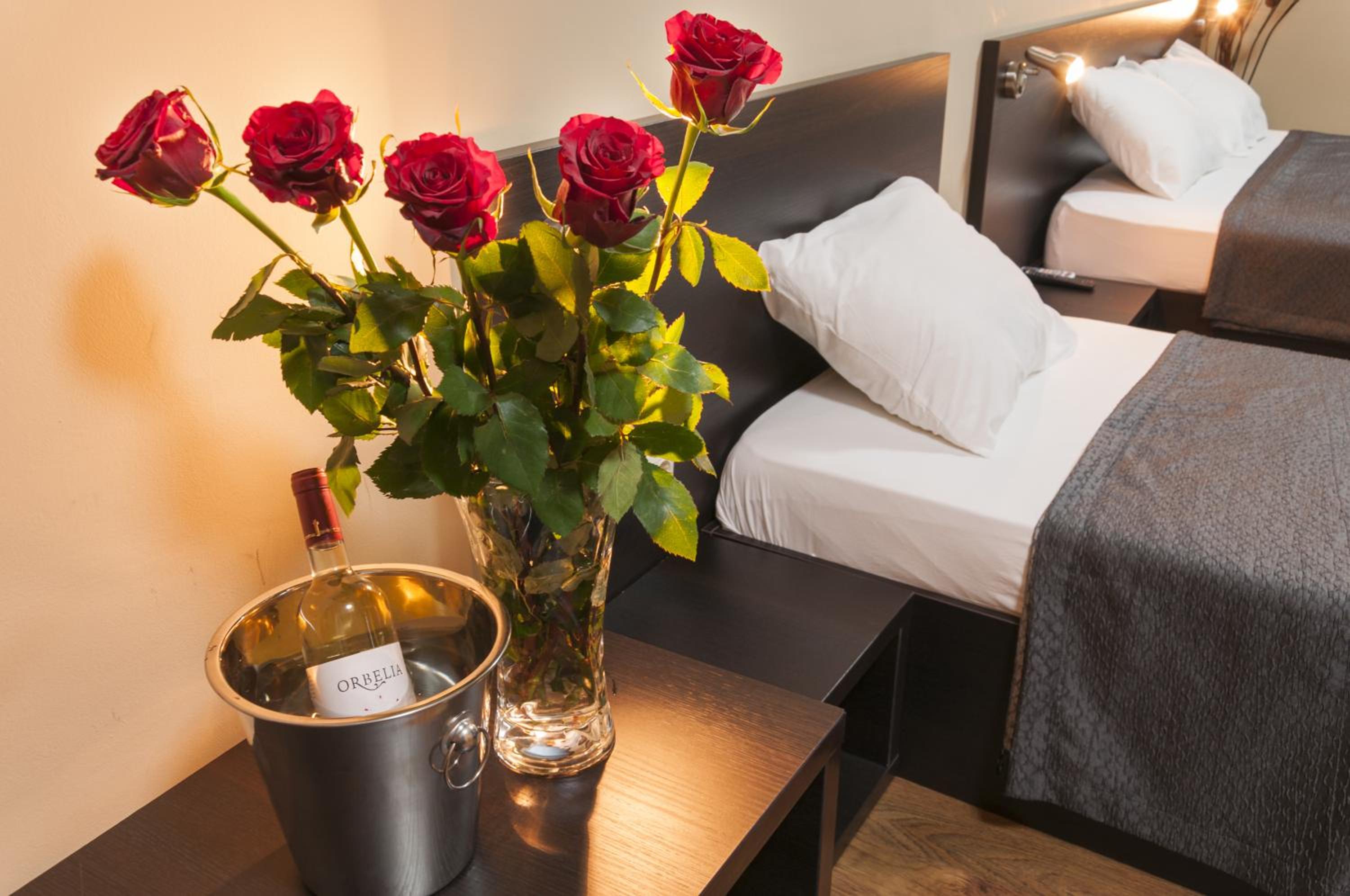 Suite - Photo 2