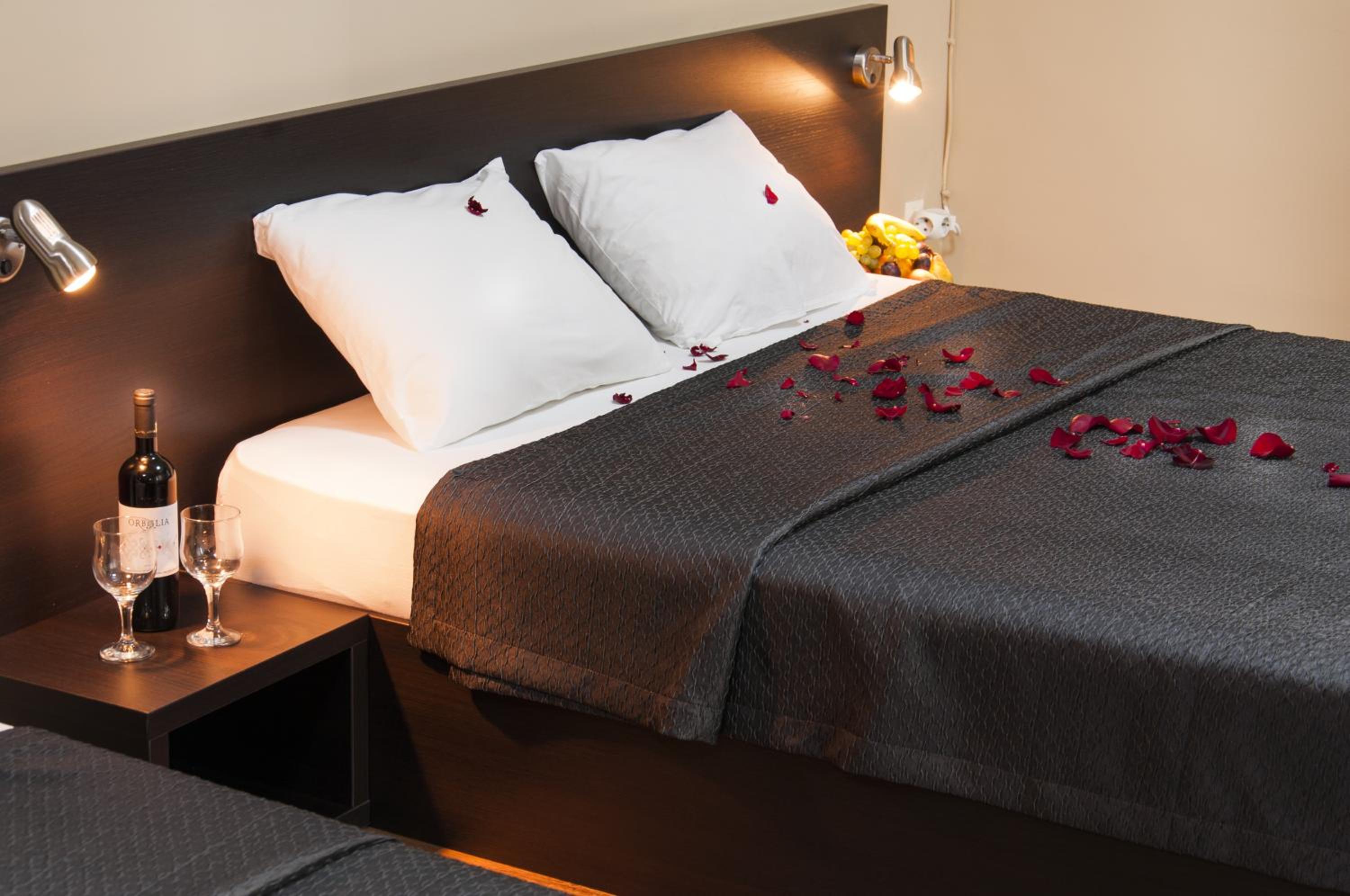 Suite - Photo 1