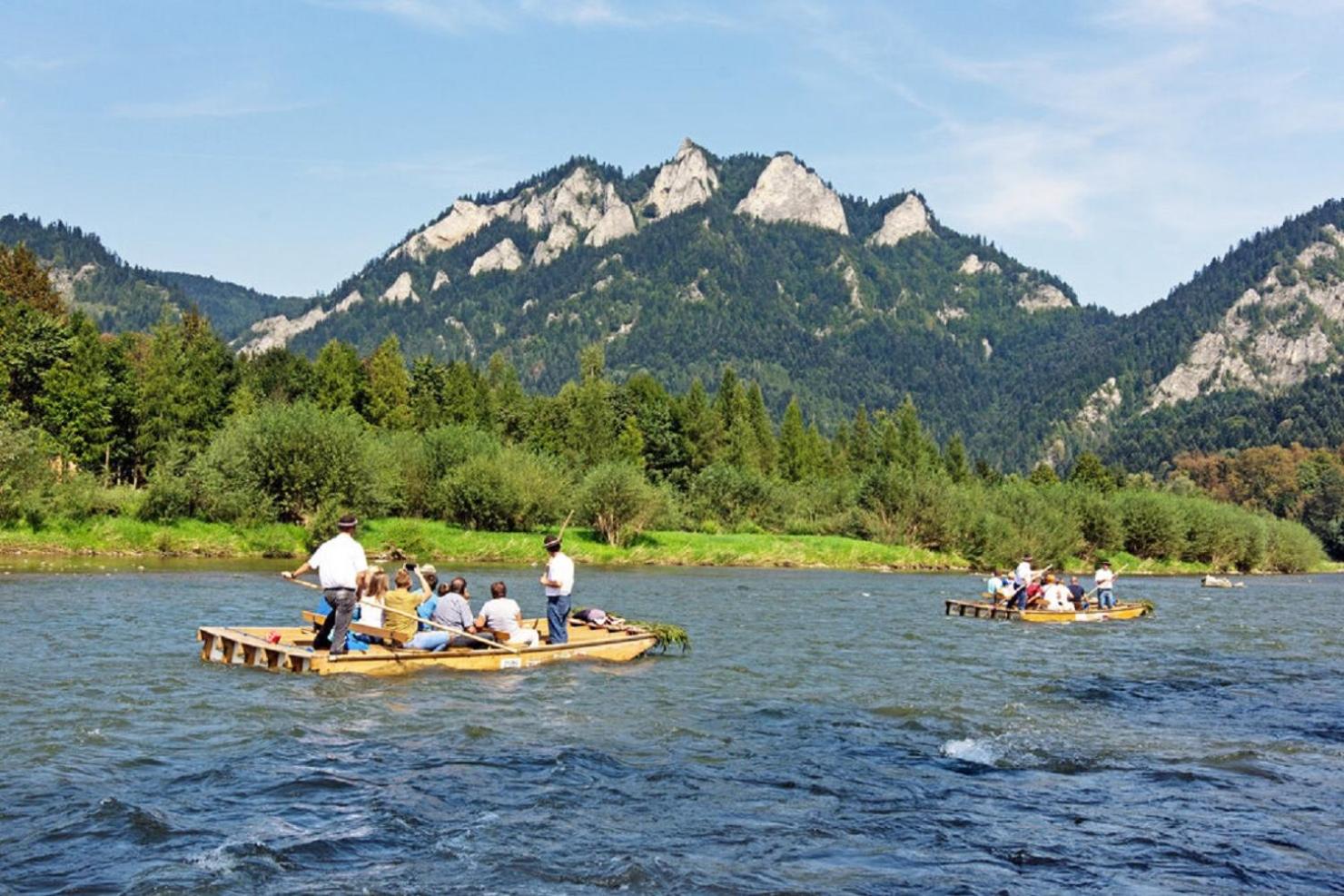 Apartment - Photo 9