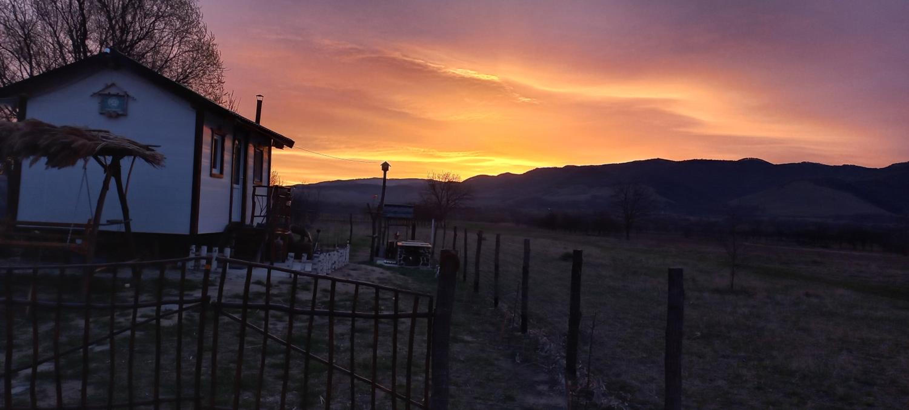 One-Bedroom House - Photo 10