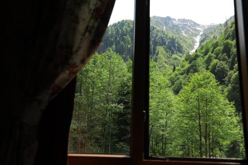 Two-Bedroom Chalet photo 1