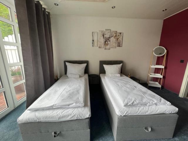 Suite - Photo 5