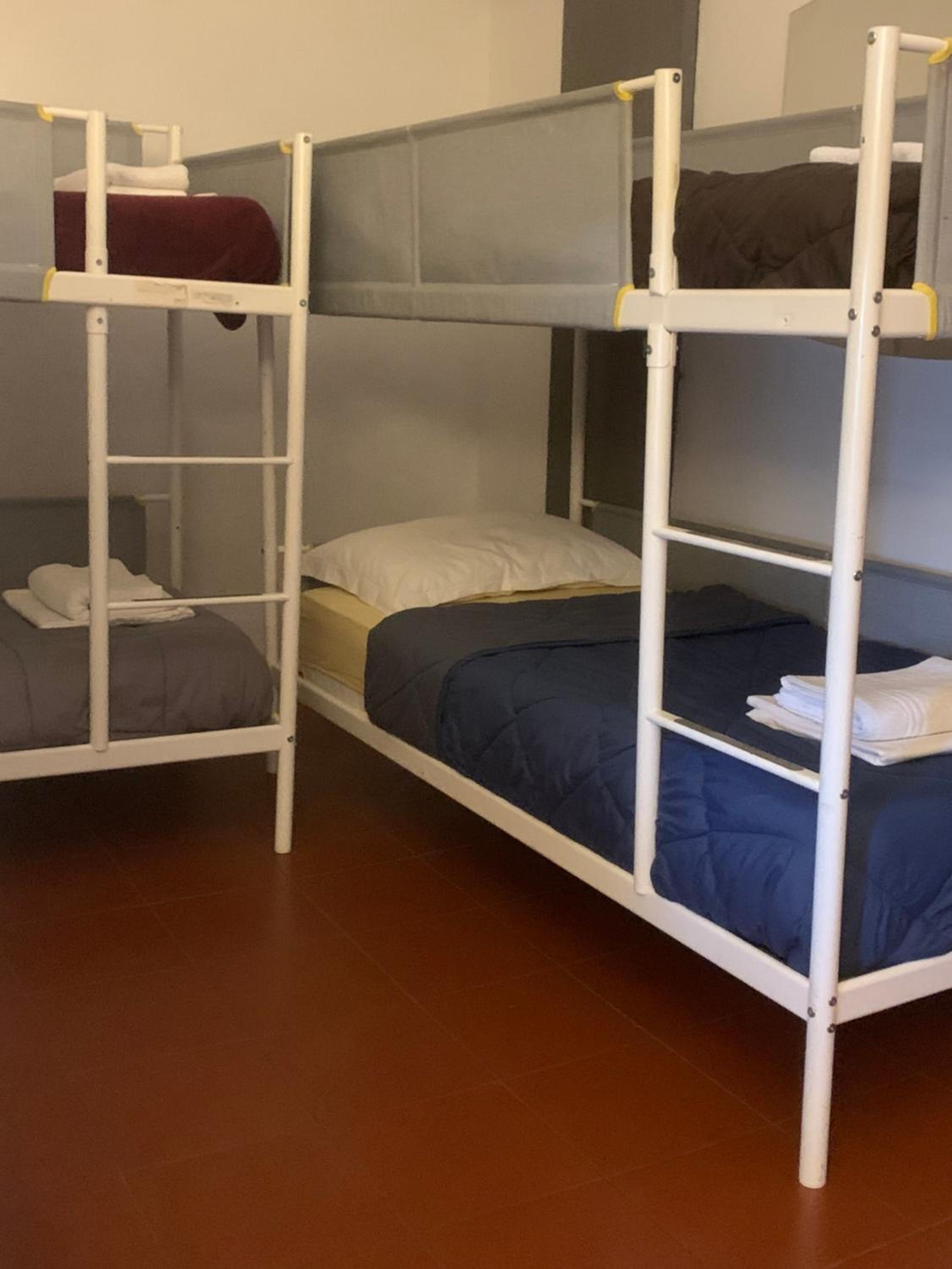Bunk Bed In Mixed Dormitory Room photo 3